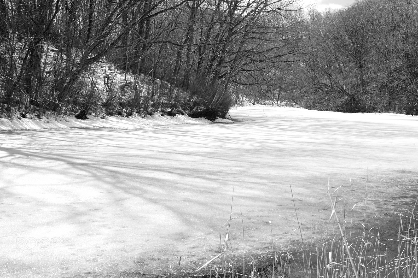 Nikon D700 sample photo. In march still frozen photography
