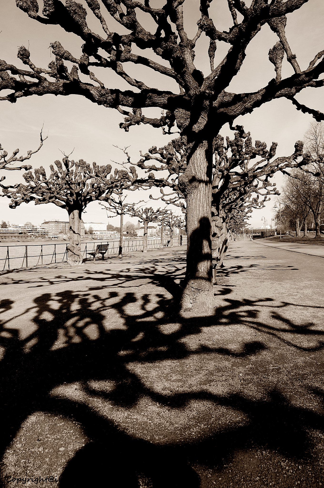 Nikon D300 sample photo. Schattenmann photography