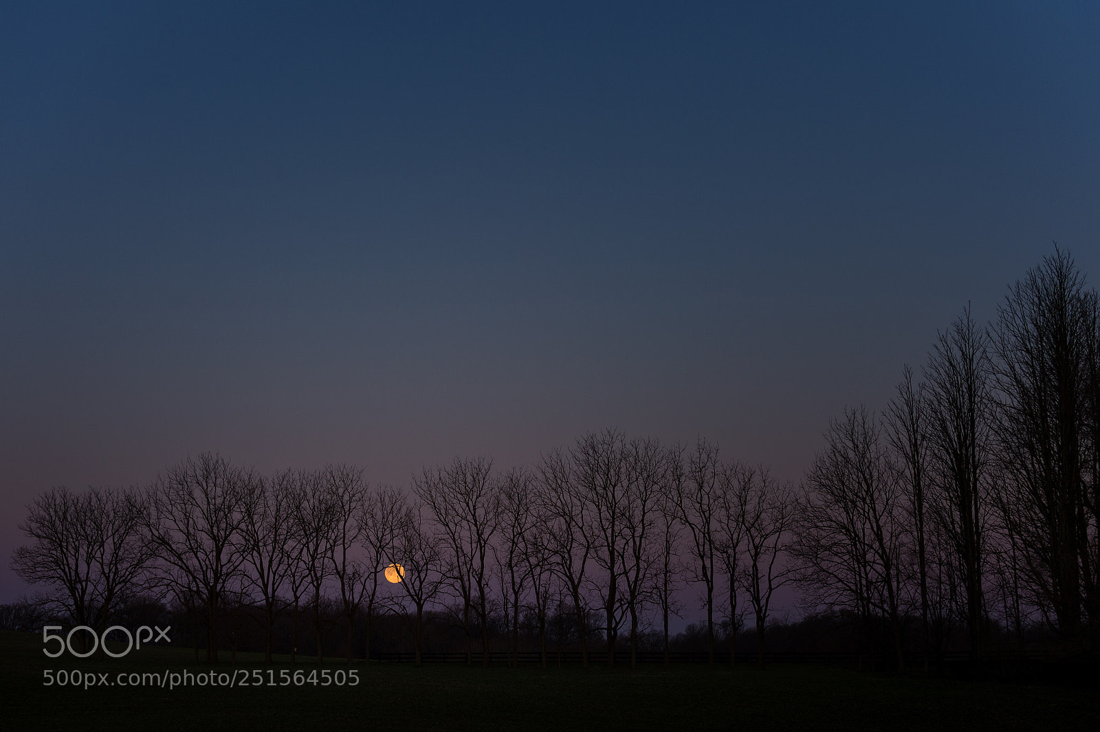 Nikon D4 sample photo. Moonset at clarks's farm photography