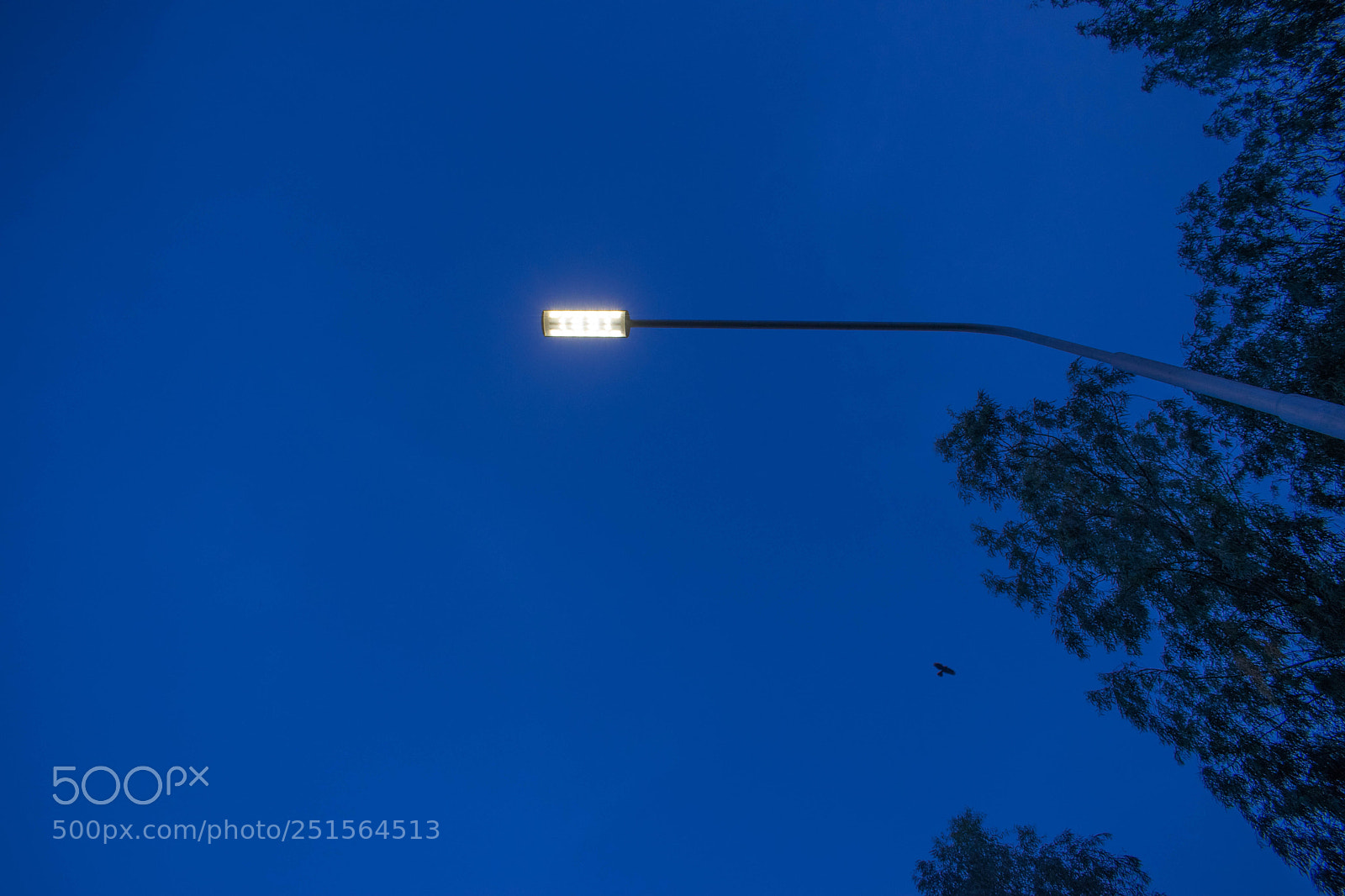 Nikon D3300 sample photo. Street light photography