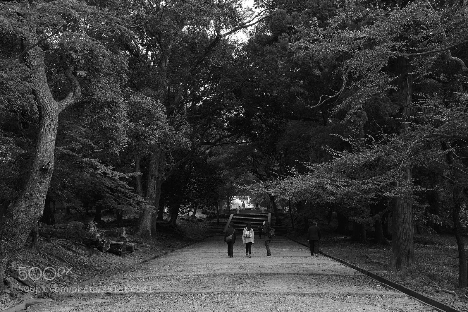 Sony a6000 sample photo. In nara photography