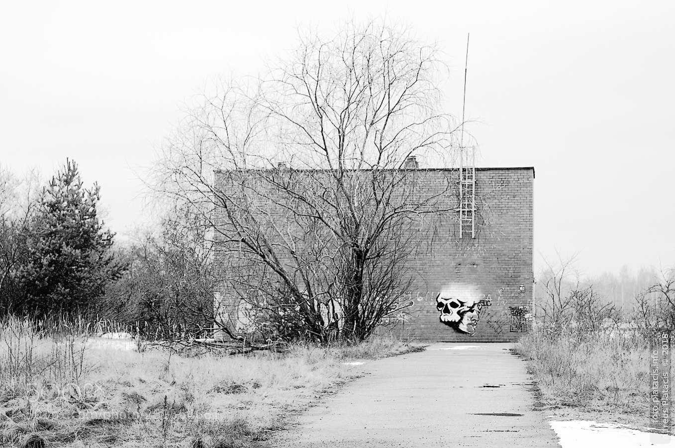 Nikon D300 sample photo. Grafiti photography