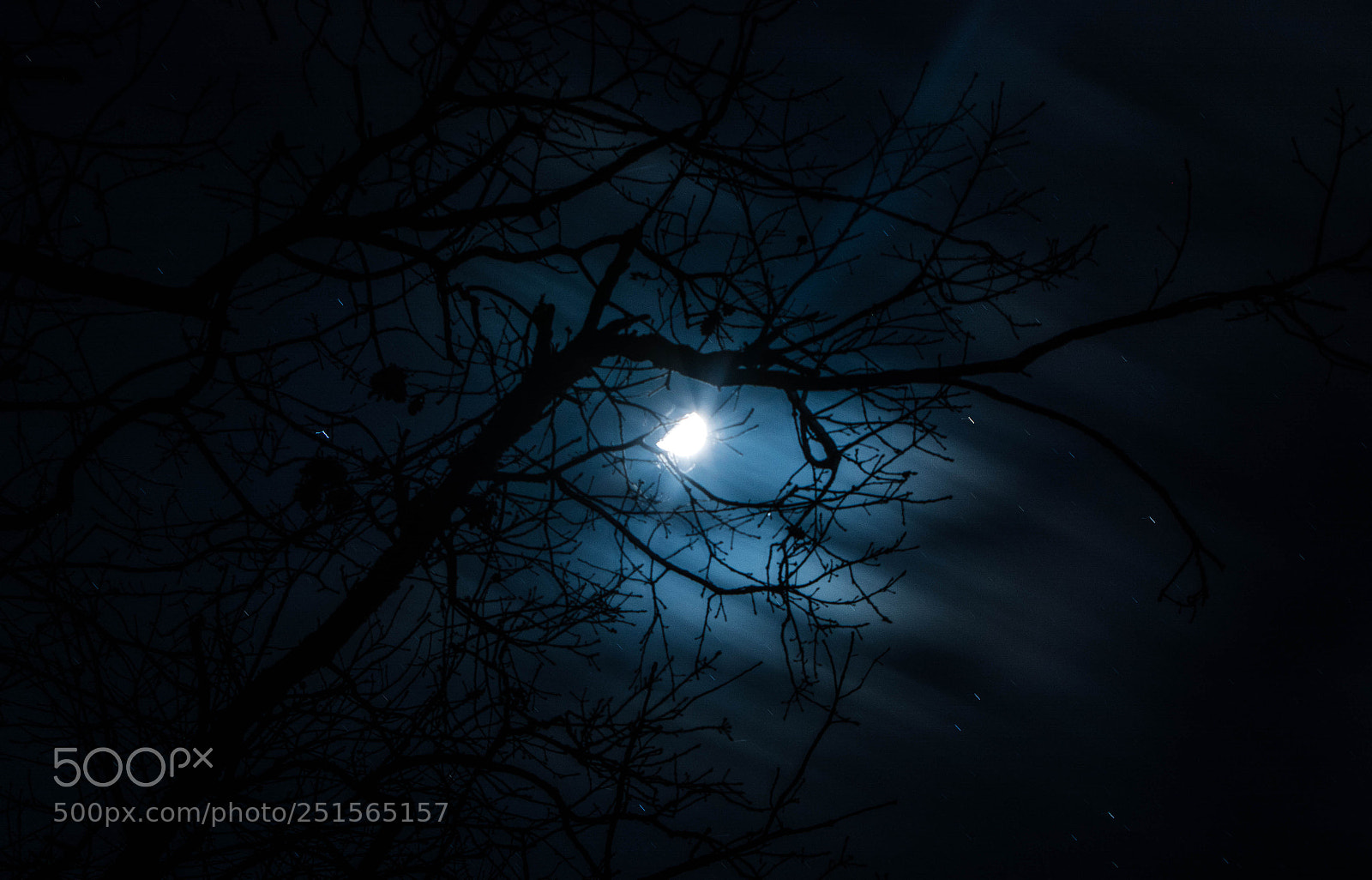 Nikon D7100 sample photo. Bluelight photography