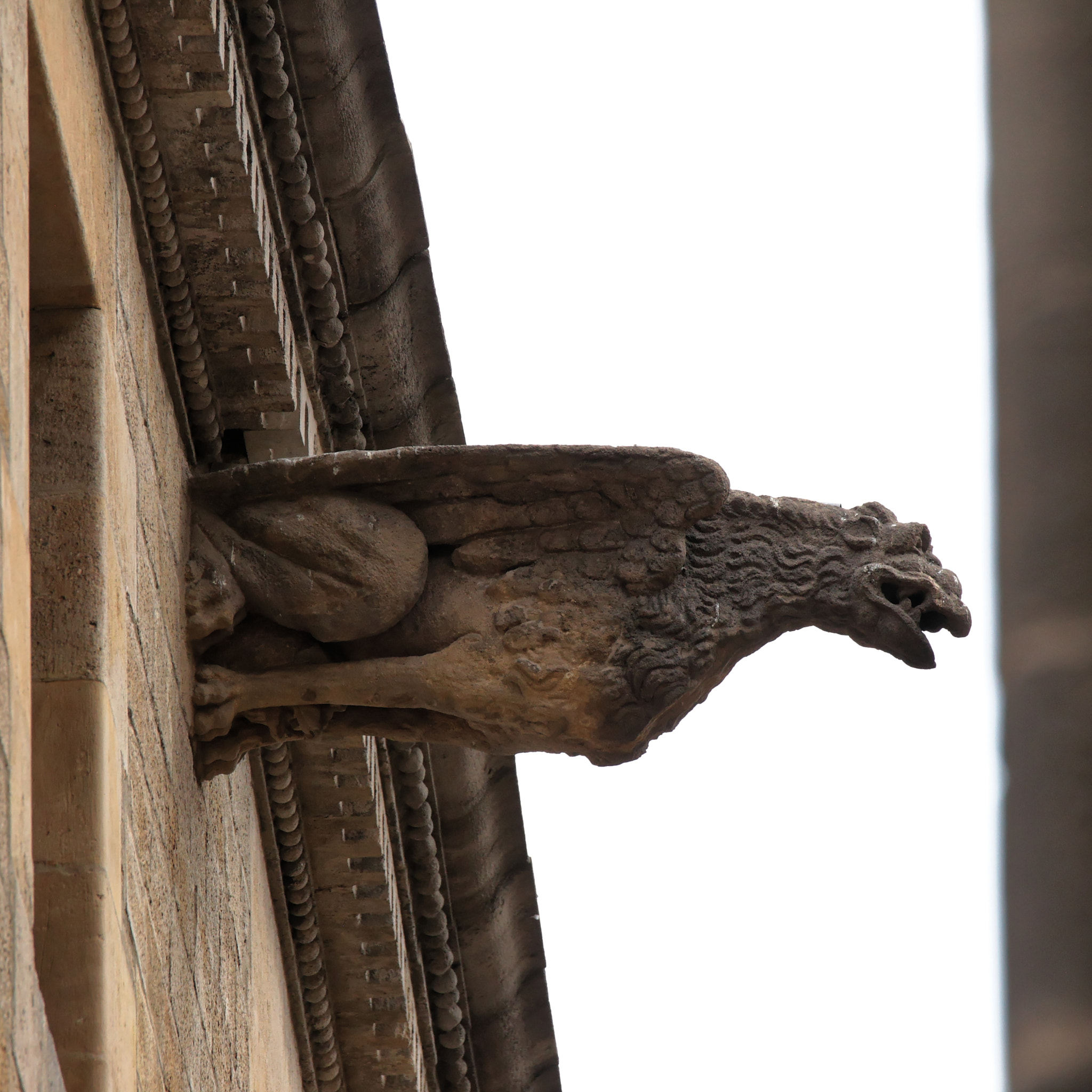 Tamron SP 150-600mm F5-6.3 Di VC USD sample photo. Barcelonian gargoyles photography