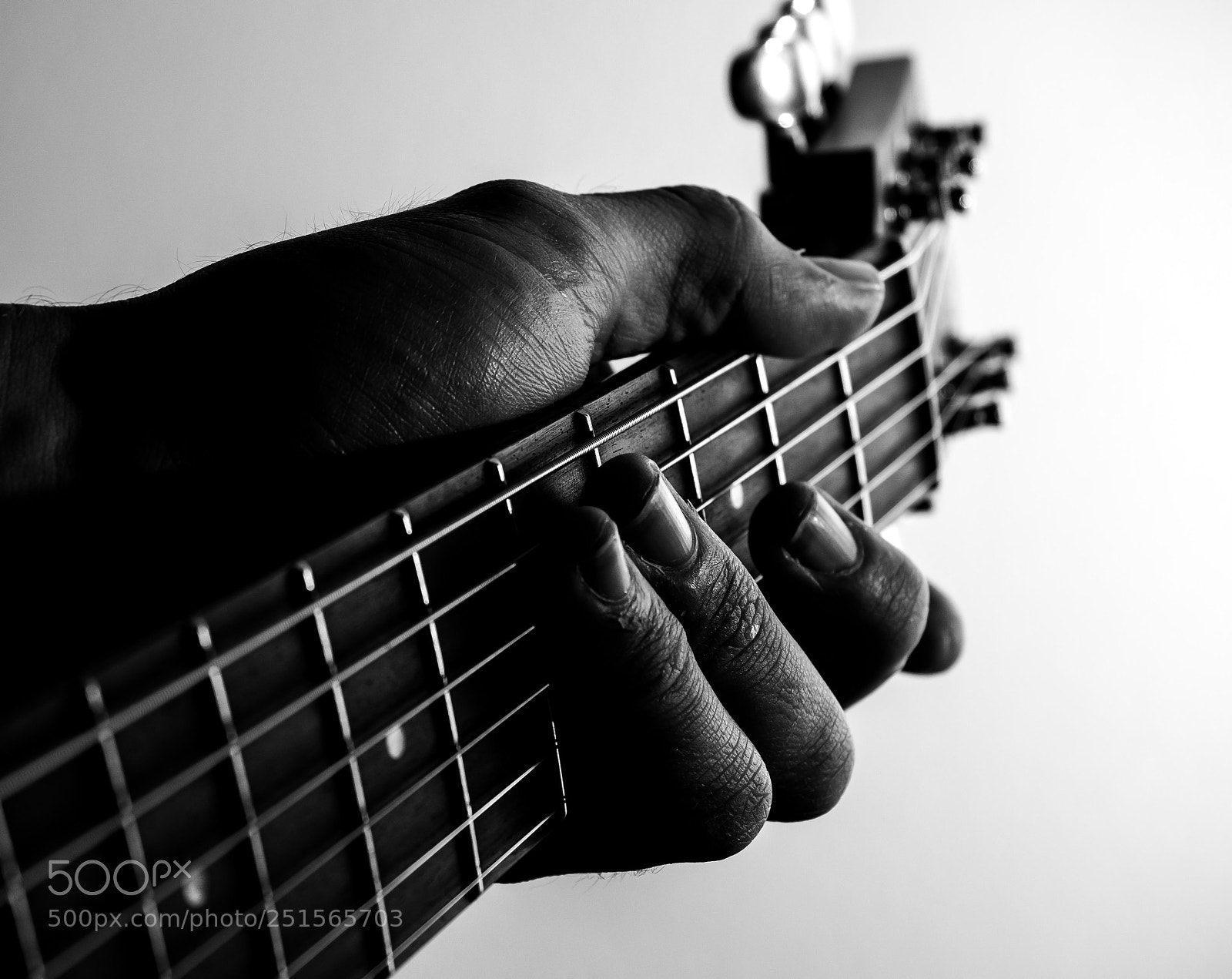 Olympus OM-D E-M1 sample photo. Chords photography