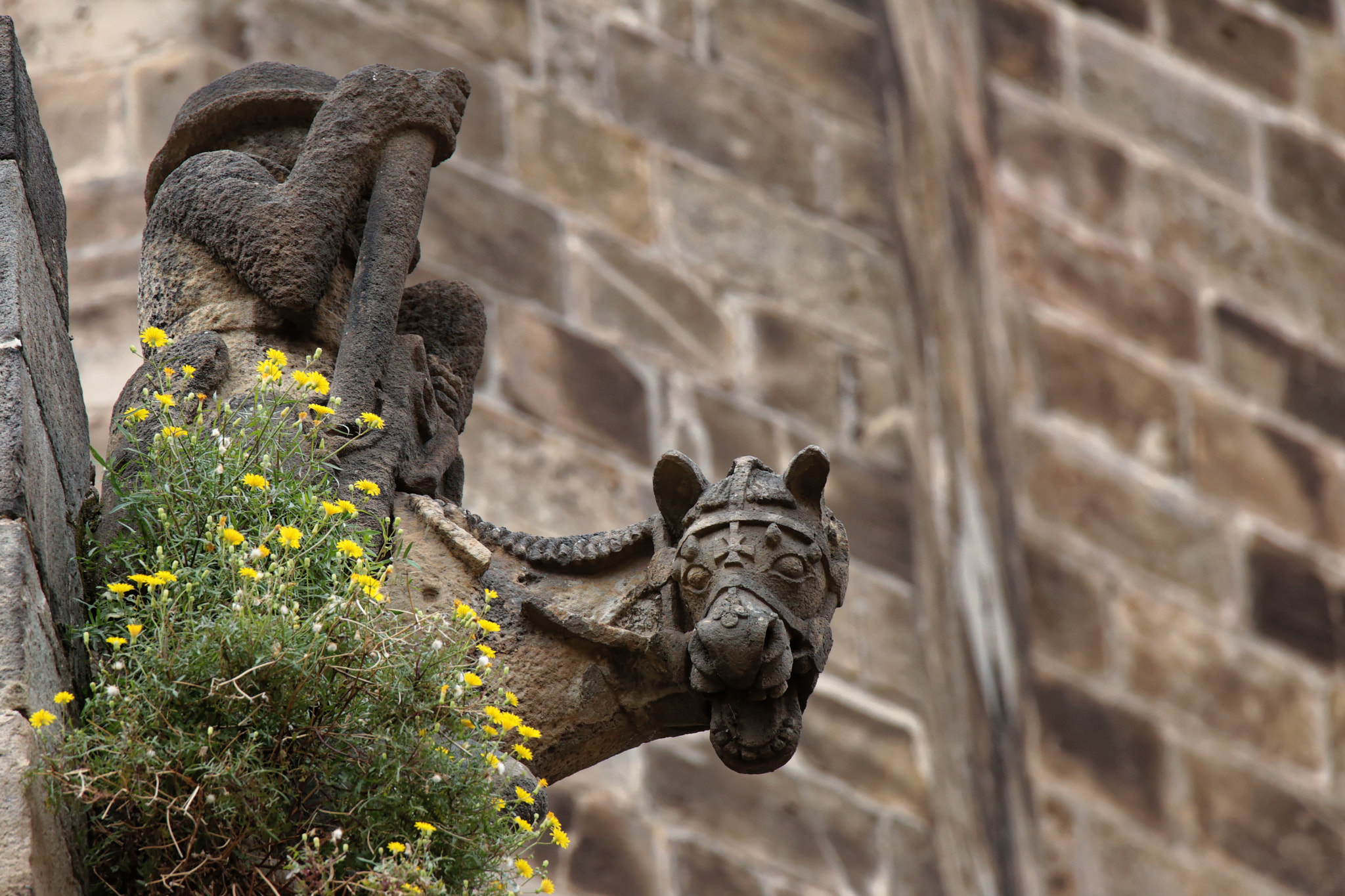 Tamron SP 150-600mm F5-6.3 Di VC USD sample photo. Barcelonian gargoyles photography