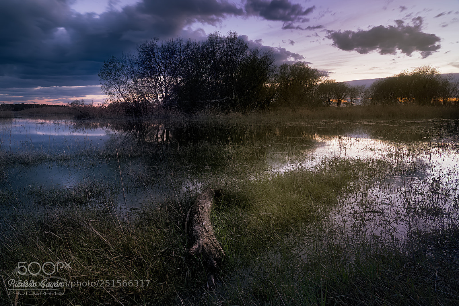 Sony a7R III sample photo. Sunset in loreto's lagoon photography