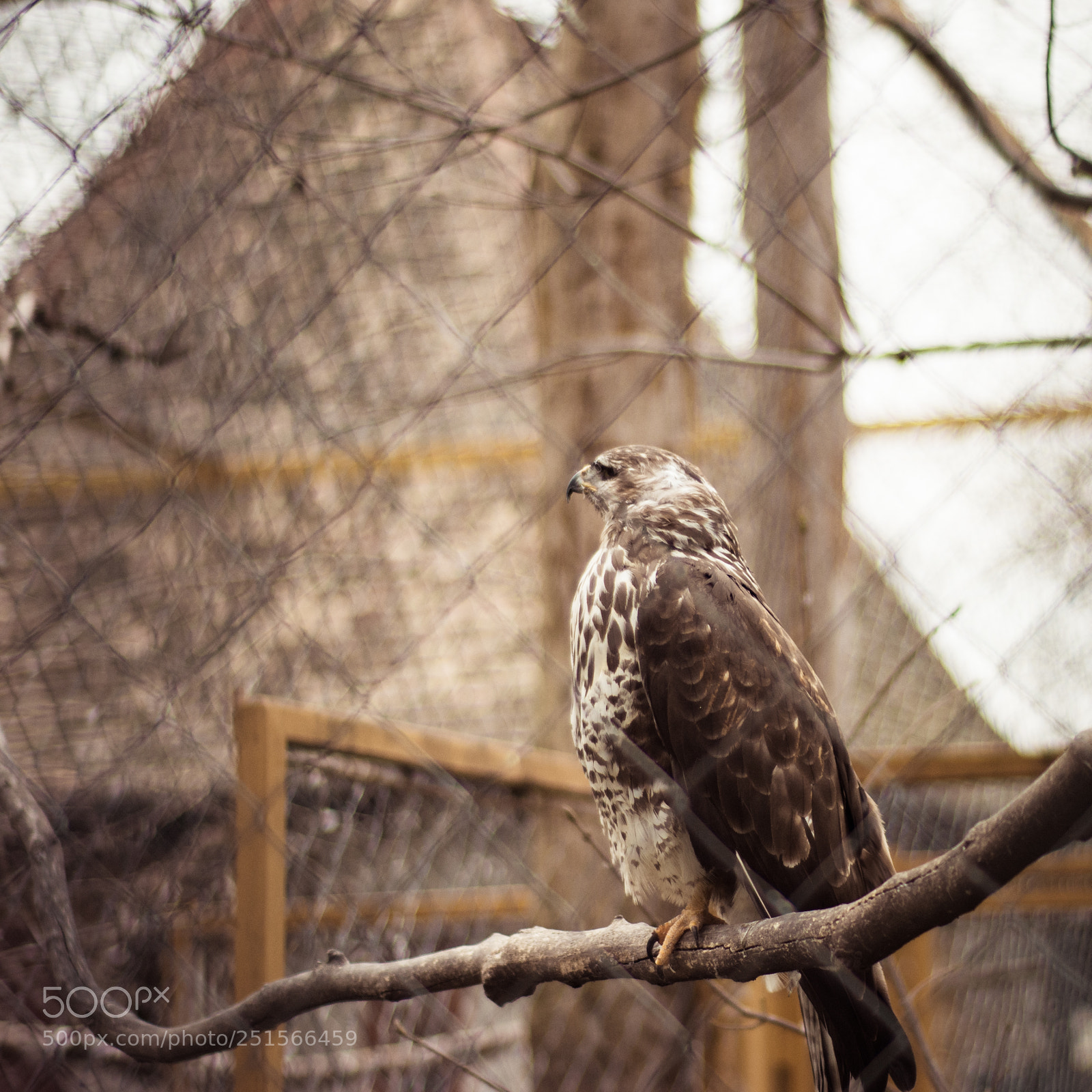 Nikon D7200 sample photo. Deep in thoughts photography