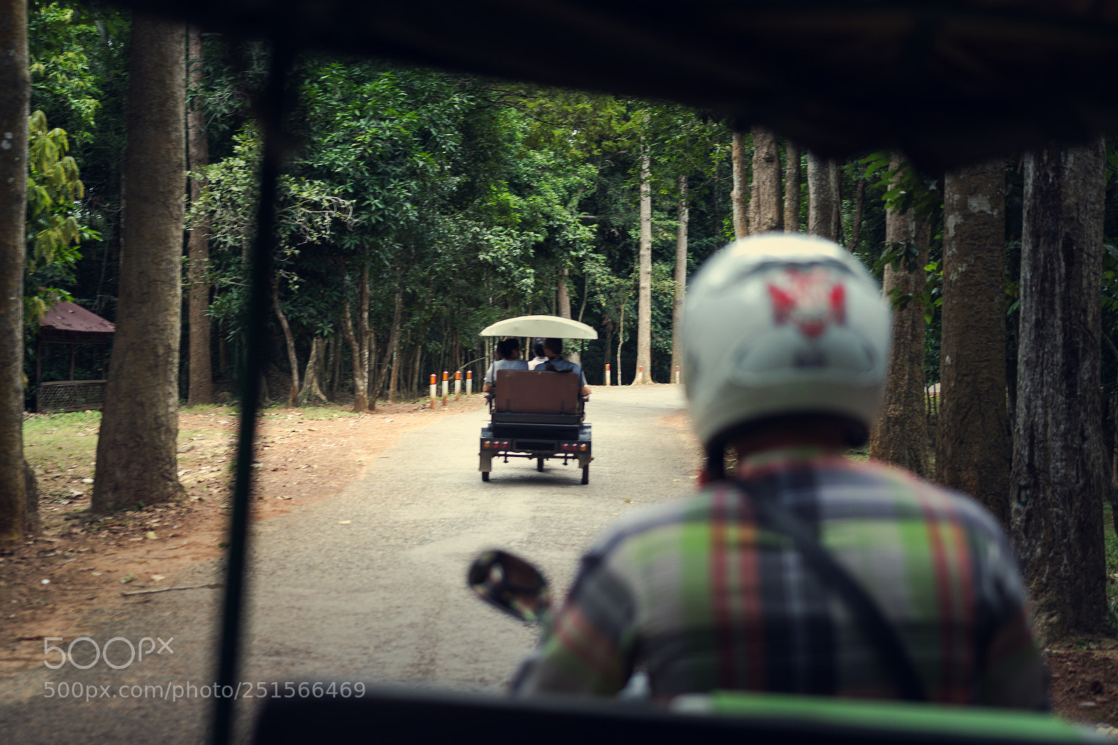 Canon EOS 60D sample photo. Into the jungle photography