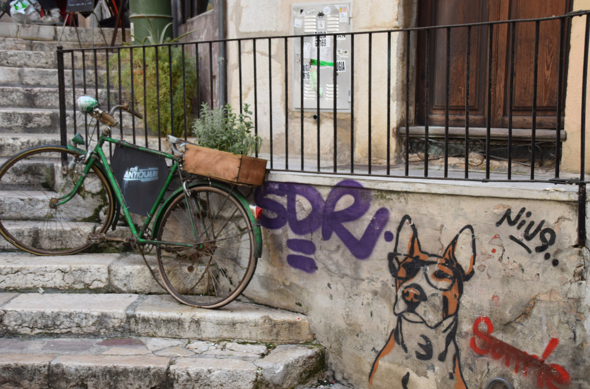 Nikon D5300 + Sigma 18-250mm F3.5-6.3 DC Macro OS HSM sample photo. Bicycles and dogs photography