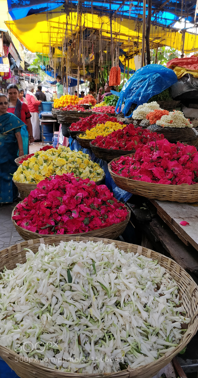 OnePlus 5T sample photo. Bangalore photography