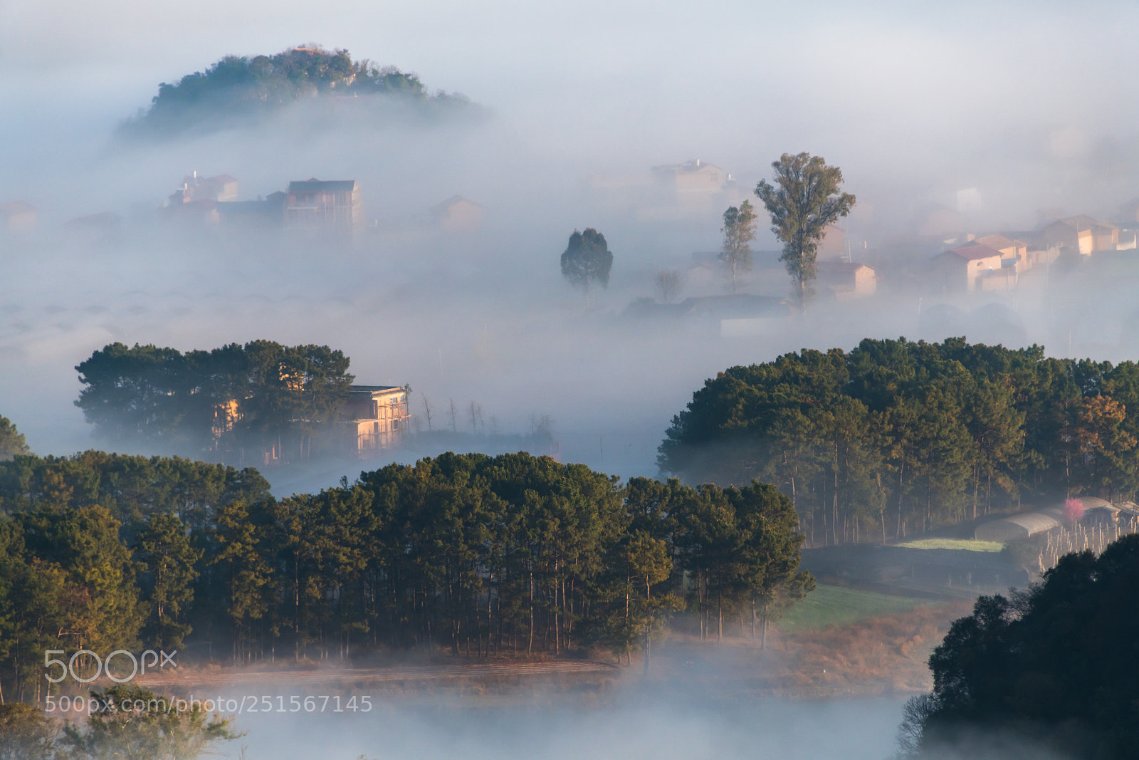 Nikon D850 sample photo. Typical morning of puzhehei photography