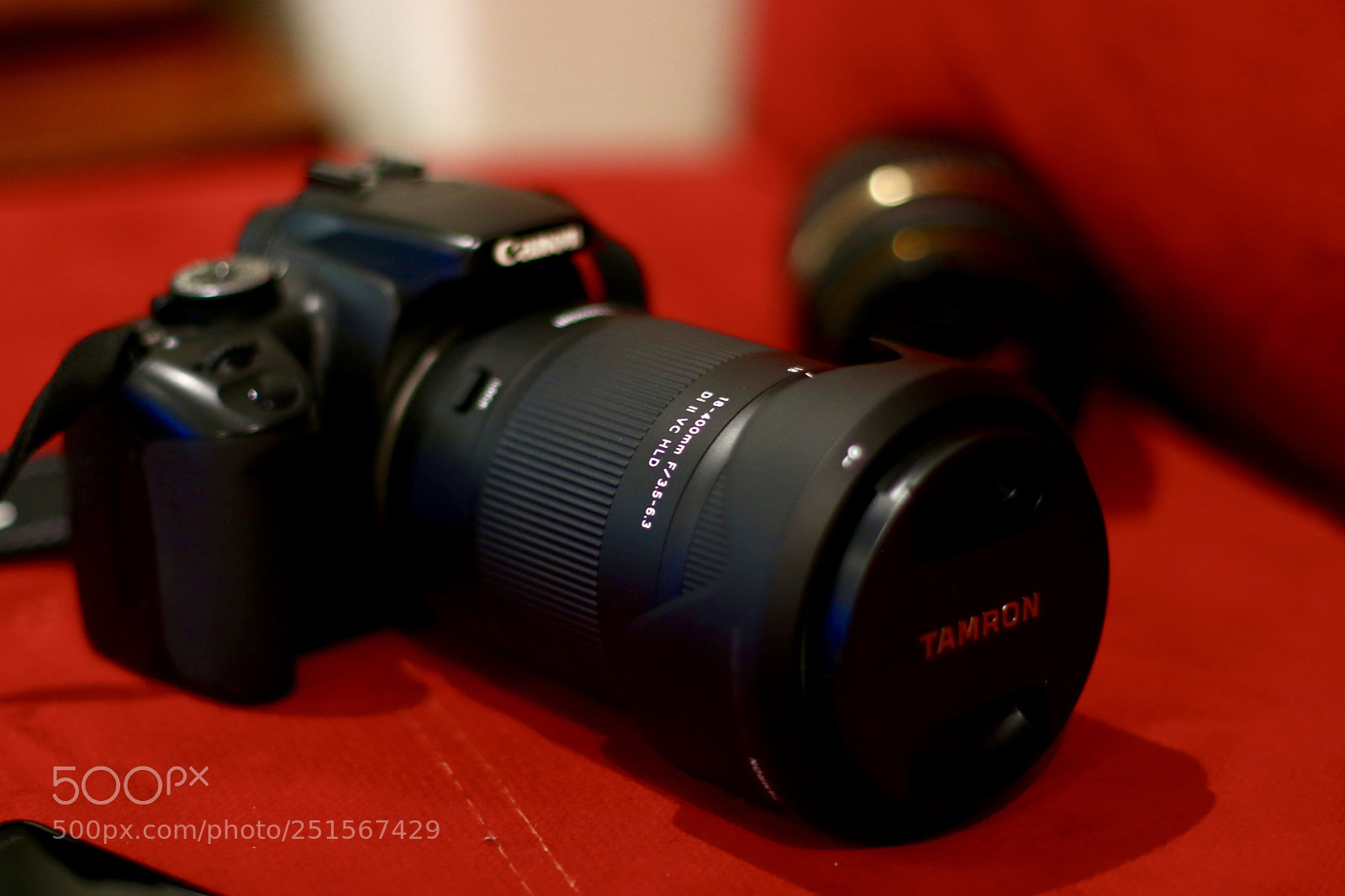 Canon EOS 80D sample photo. Buddy photography