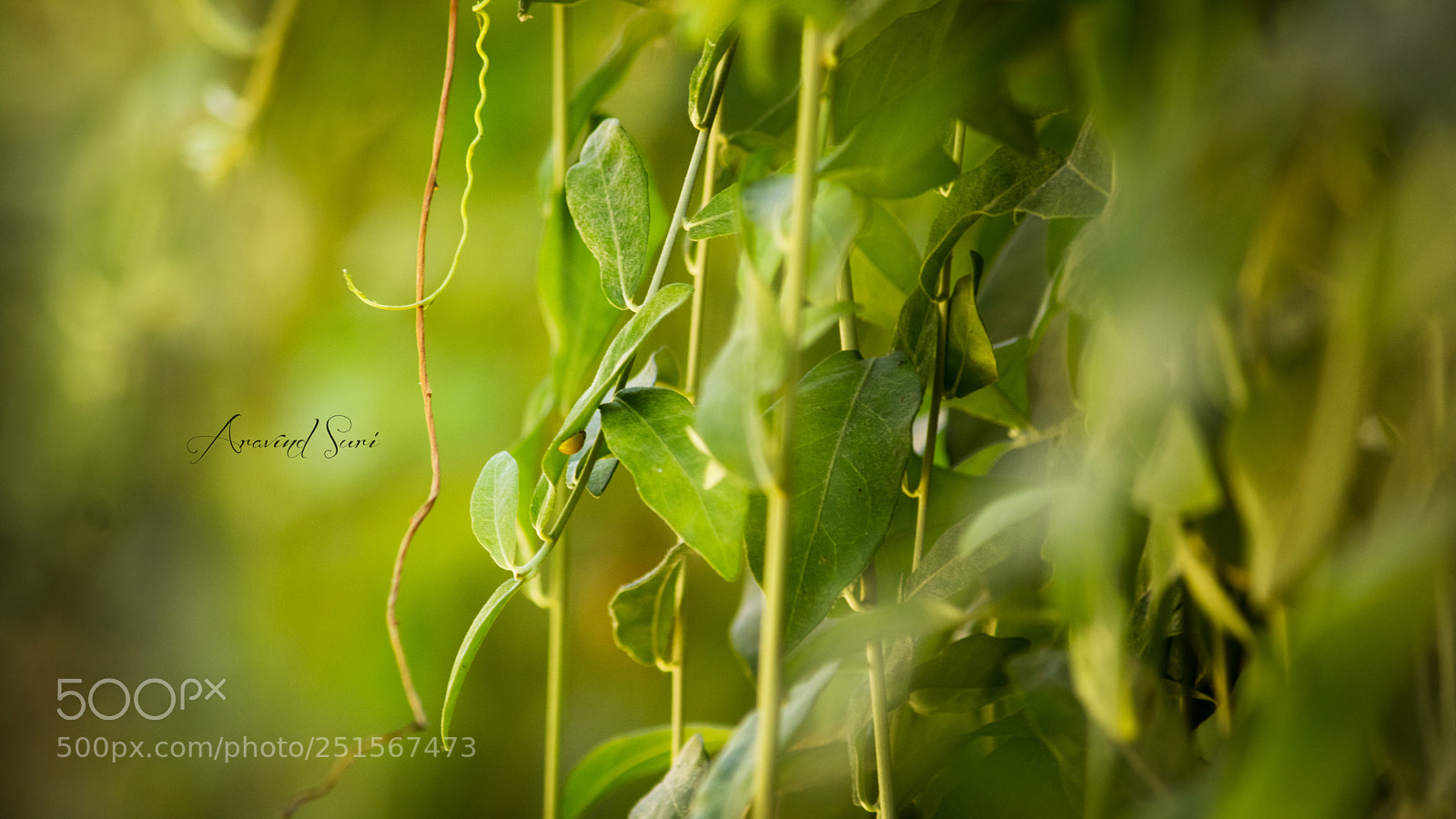 Canon EOS 80D sample photo. Untitled photography