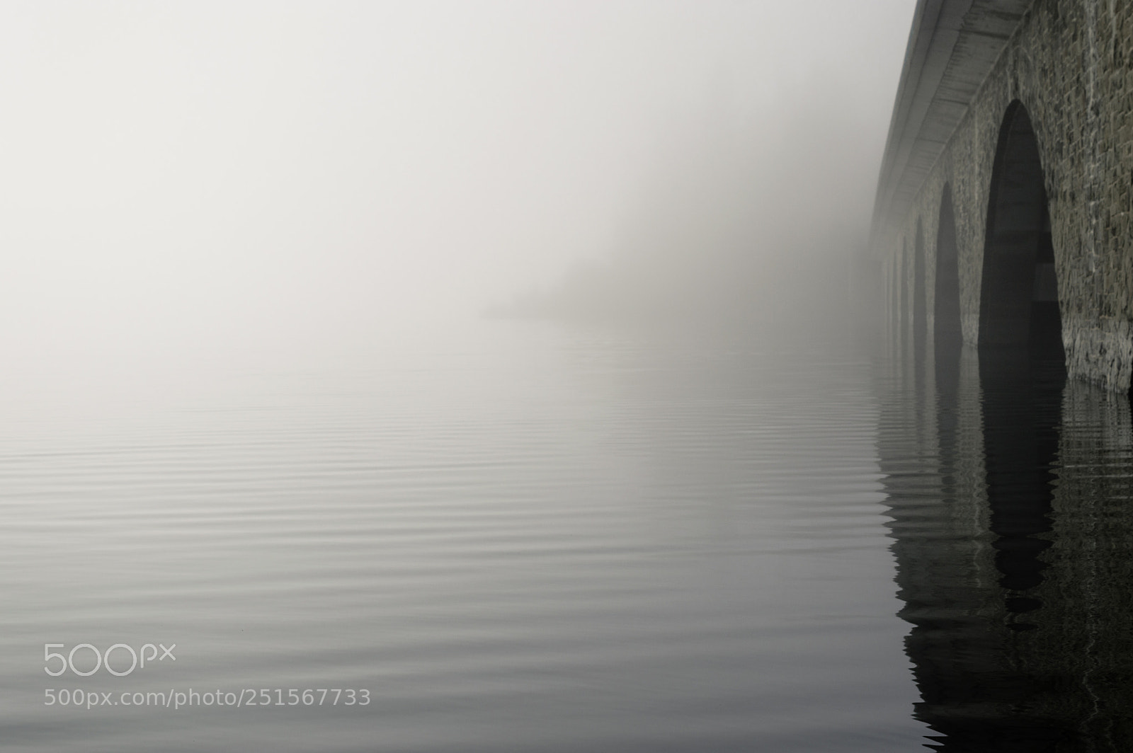 Nikon D3200 sample photo. Fog on lake photography