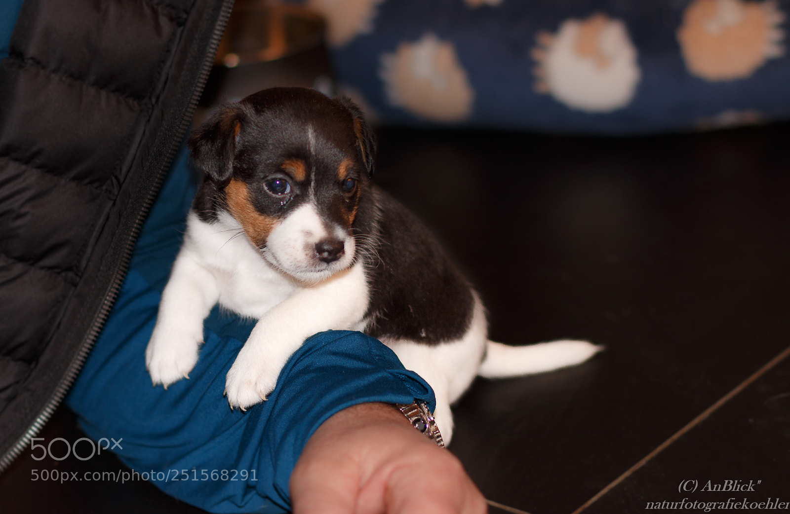 Canon EOS 70D sample photo. Mein neuer kumpel photography