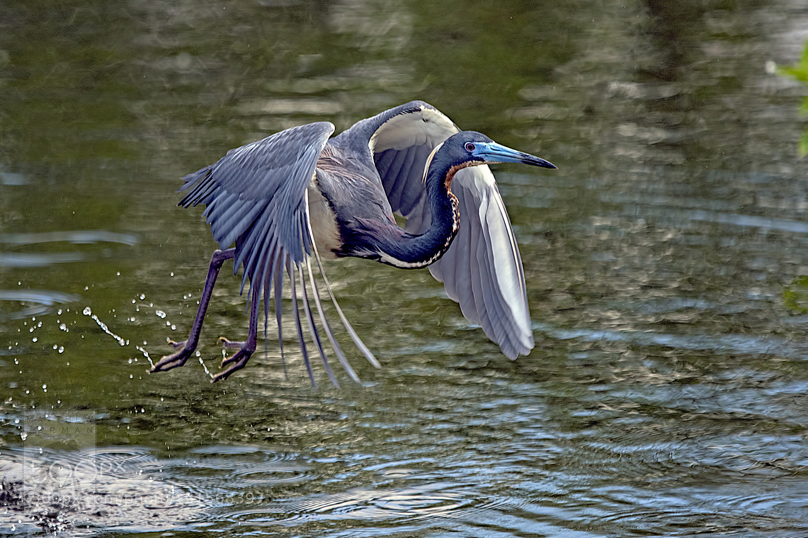 Nikon D810 sample photo. Fishing 1735 photography