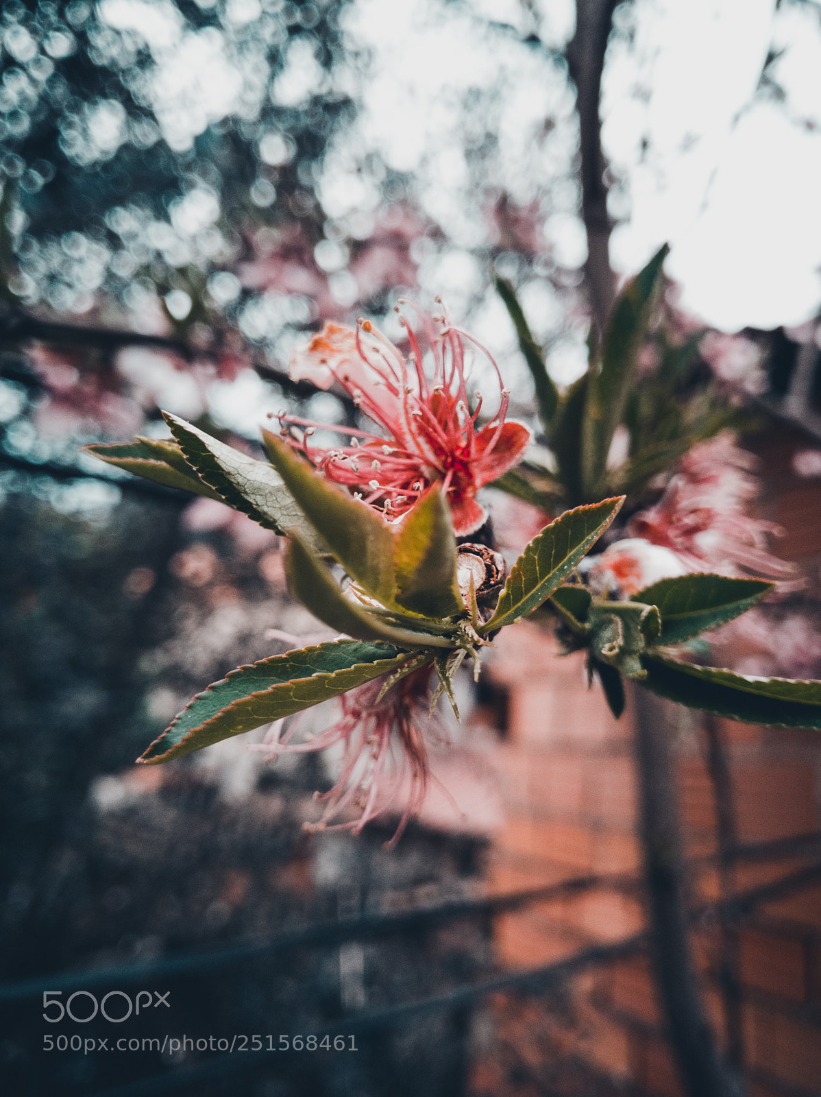 HUAWEI Honor 9 sample photo. Untitled photography
