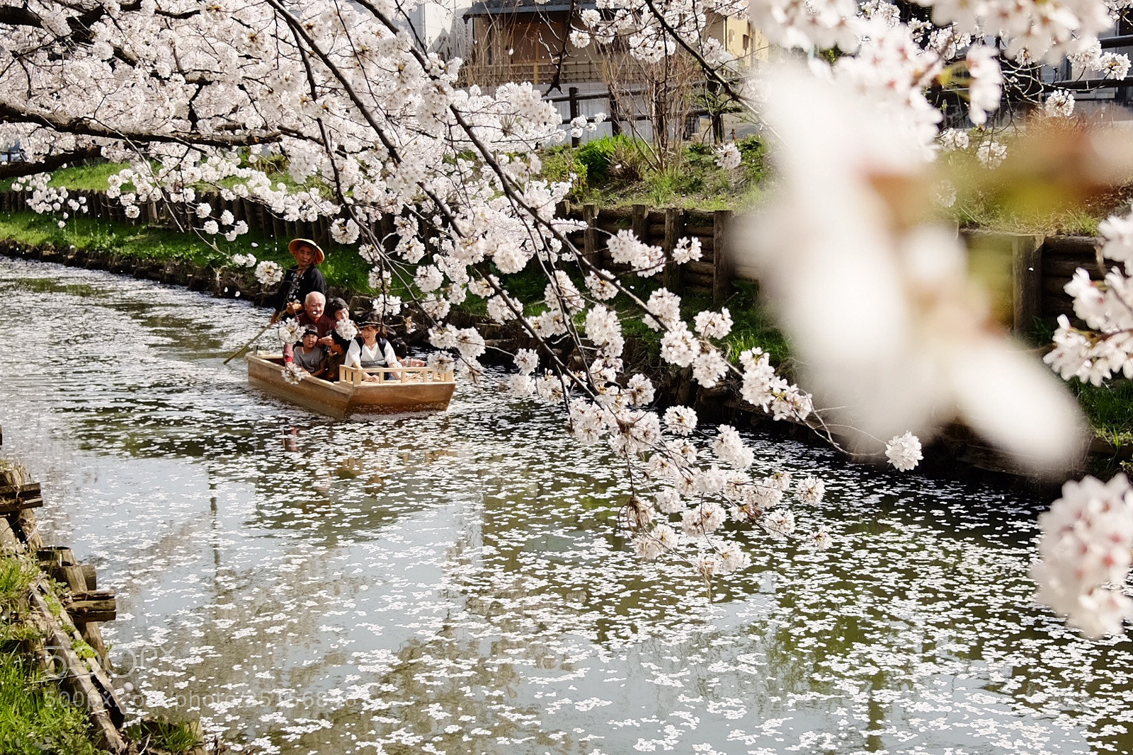 Fujifilm X70 sample photo. Untitled photography