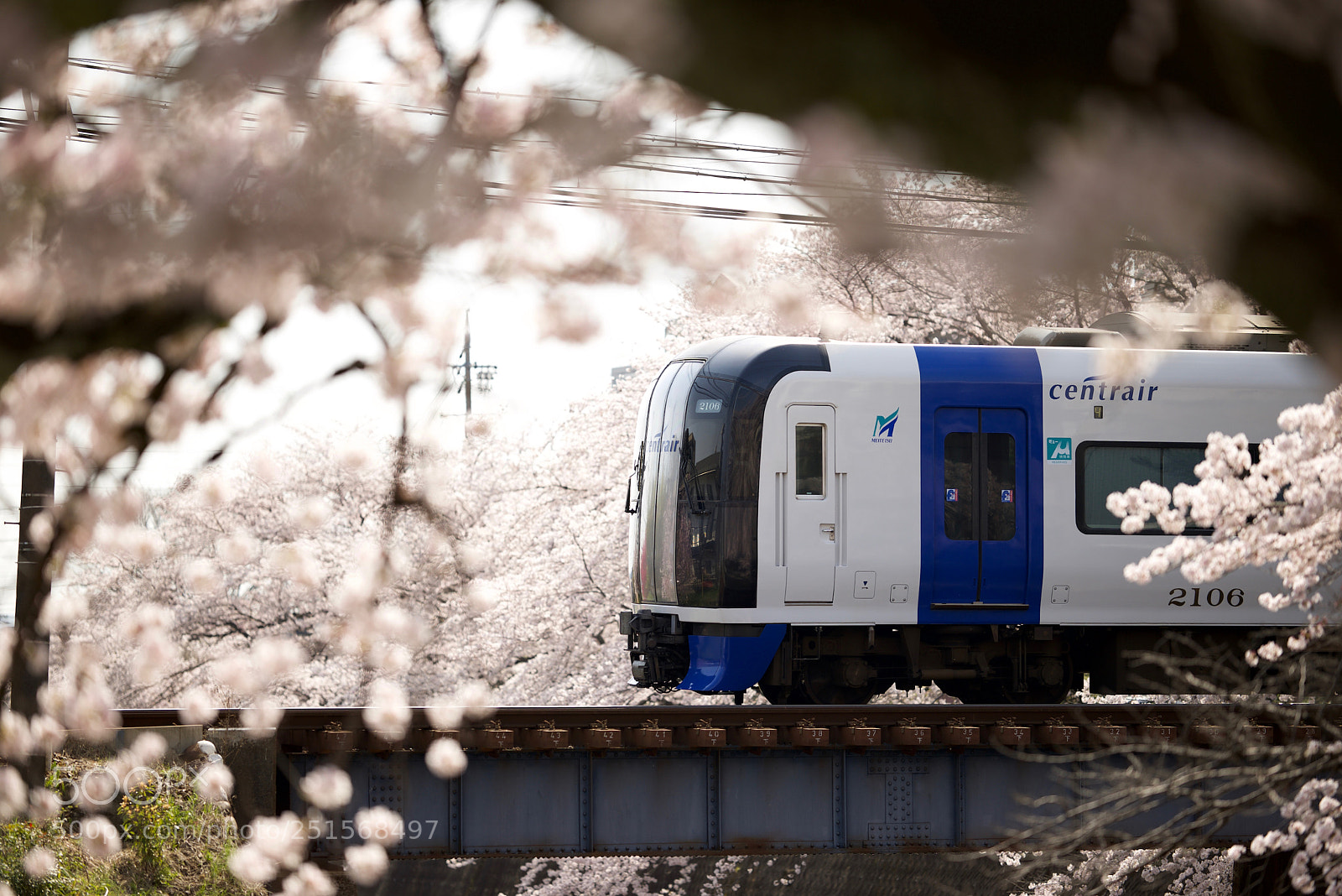 Nikon D610 sample photo. Train through spring photography