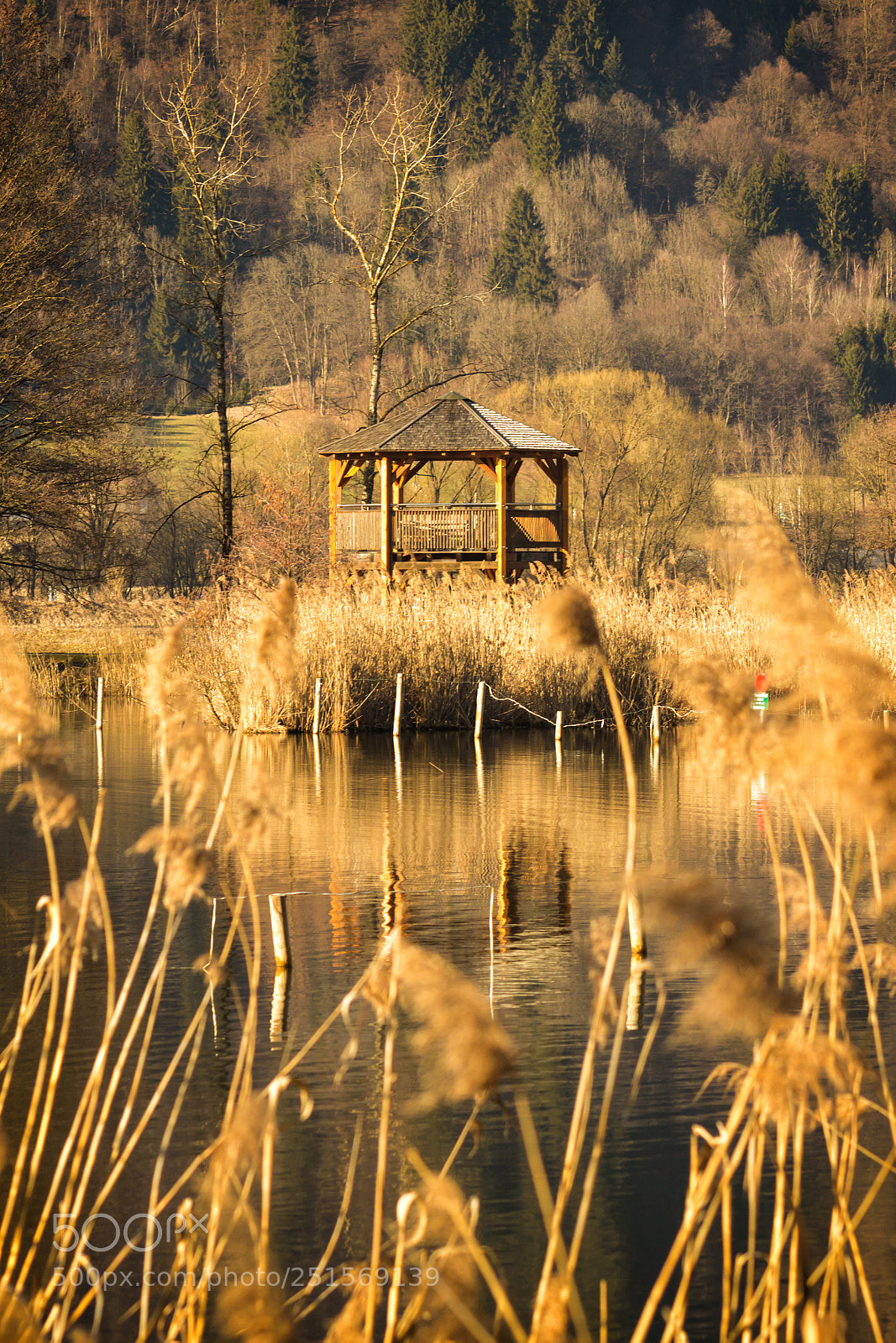 Canon EOS 600D (Rebel EOS T3i / EOS Kiss X5) sample photo. Autumn or spring? photography