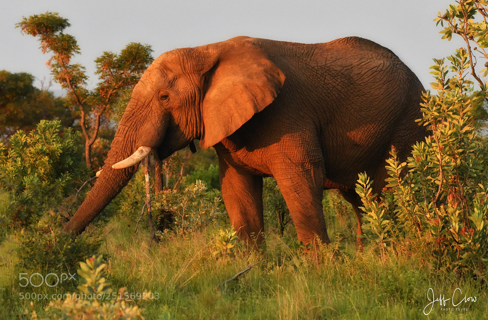 Nikon D500 sample photo. Late afternoon light photography