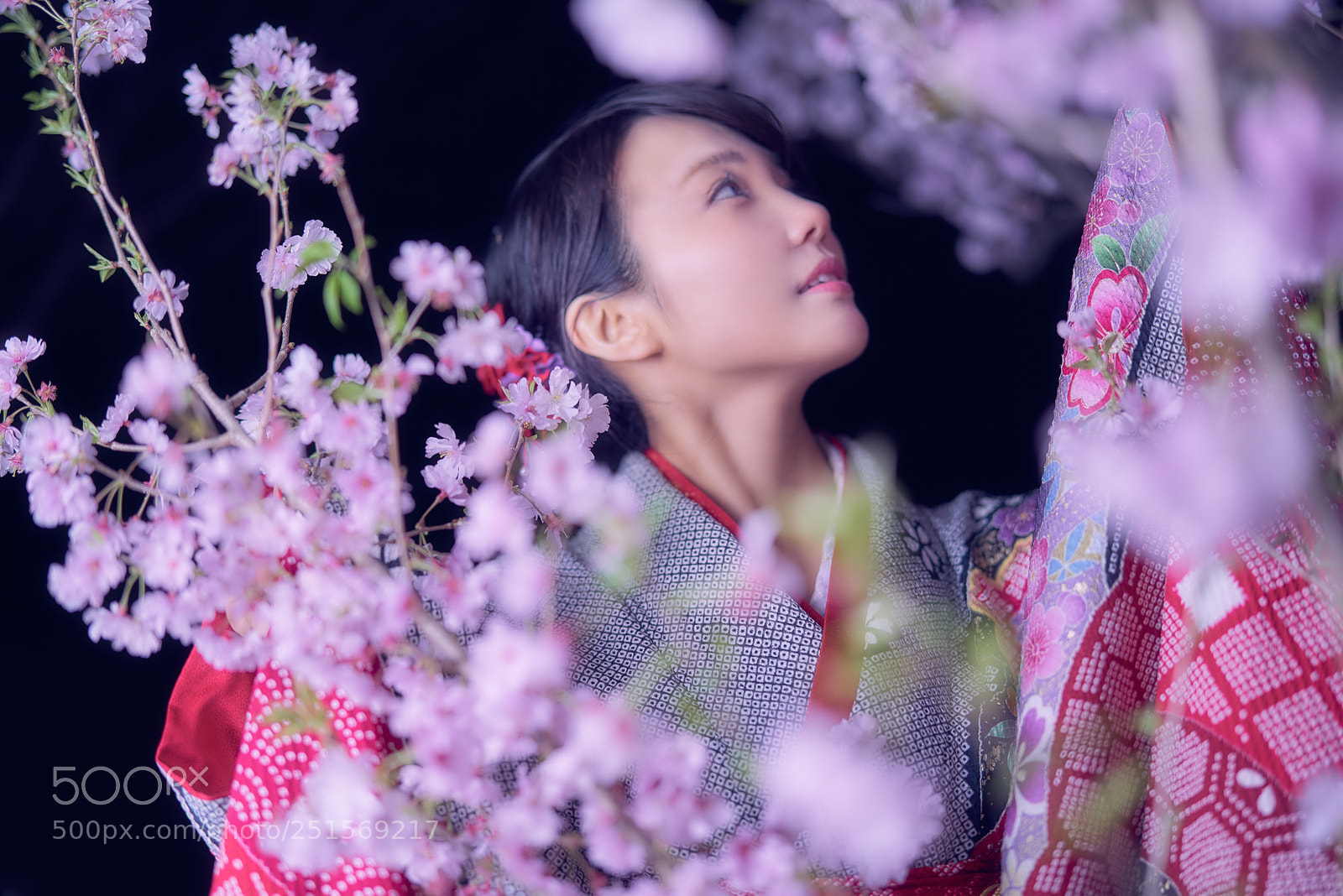 Sony a7R II sample photo. 花舞 photography