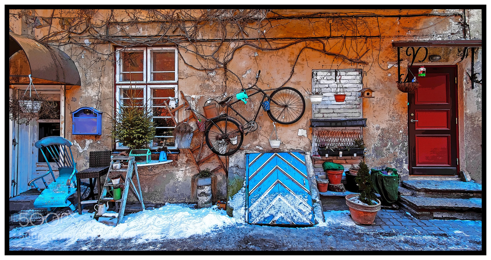 Fujifilm X-T20 sample photo. Backyard iii photography