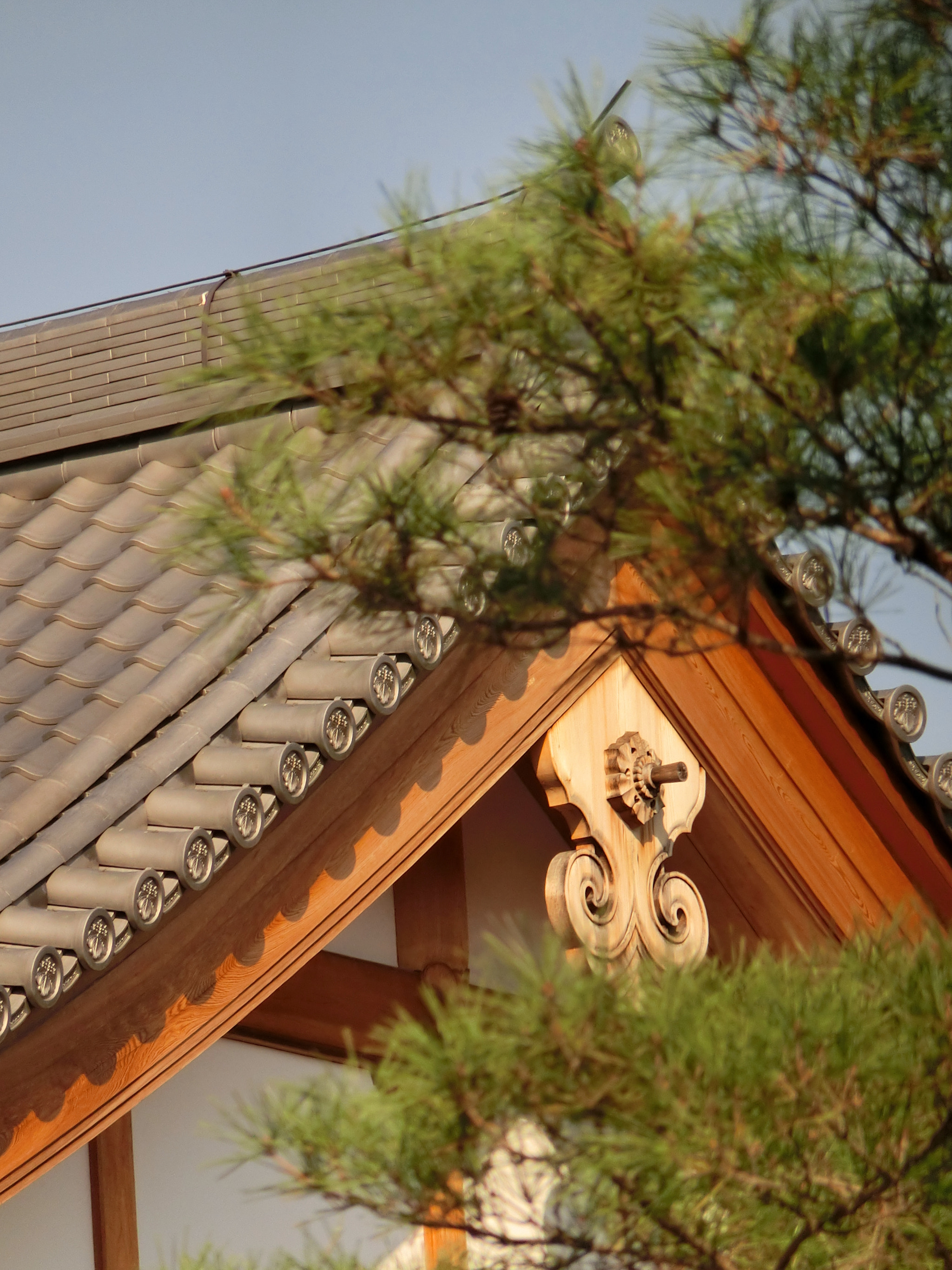CASIO EX-ZR800 sample photo. 寺 photography