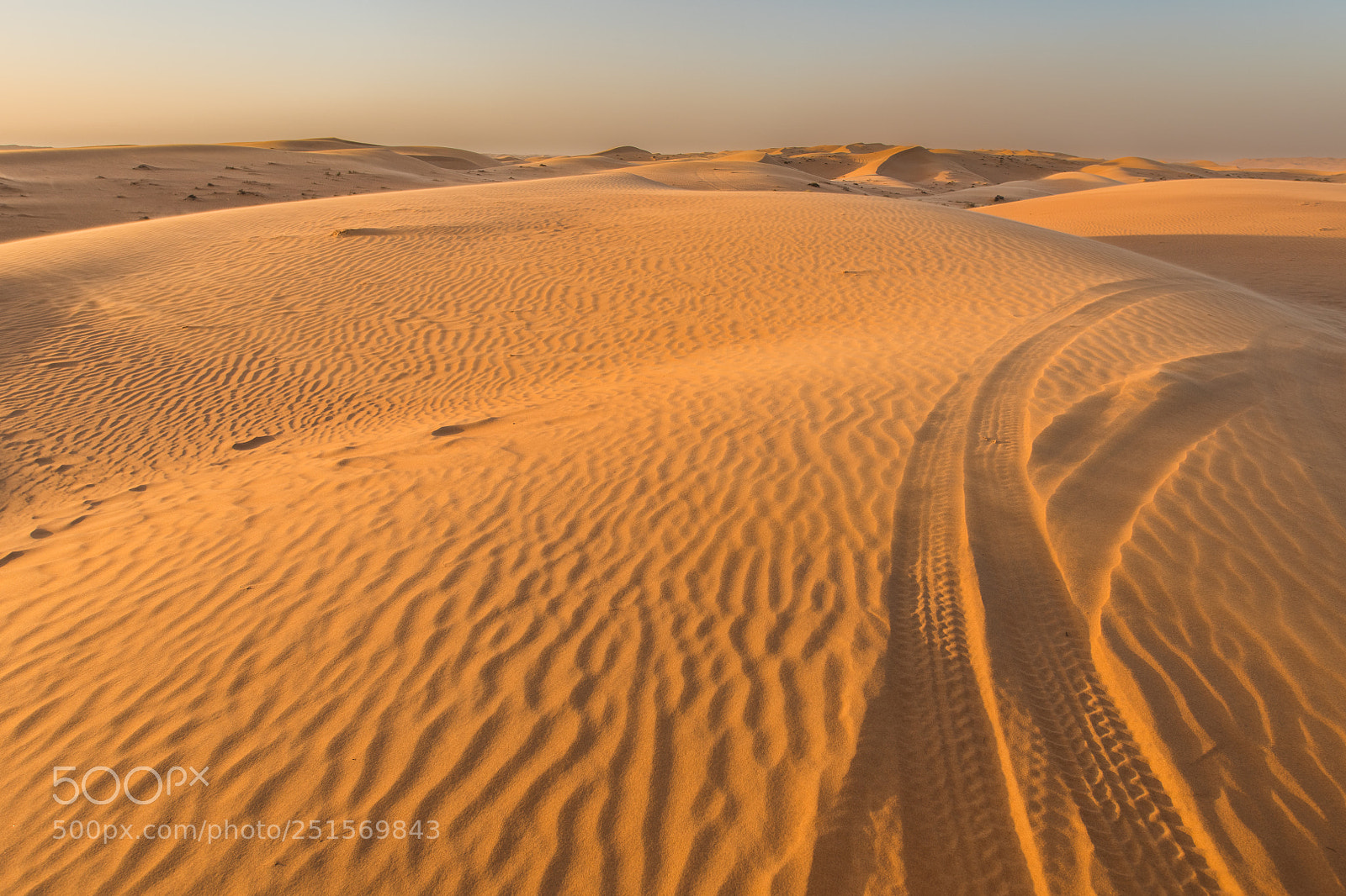 Nikon D850 sample photo. Desert photography
