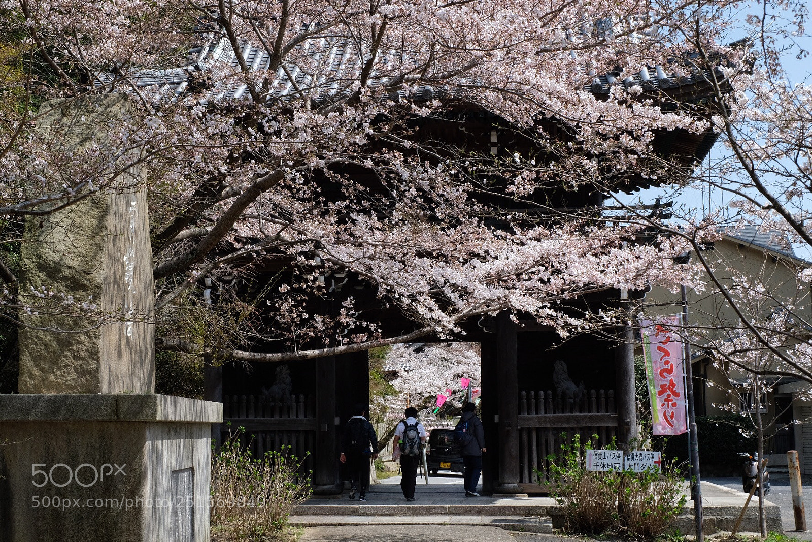 Fujifilm X-Pro2 sample photo. Untitled photography