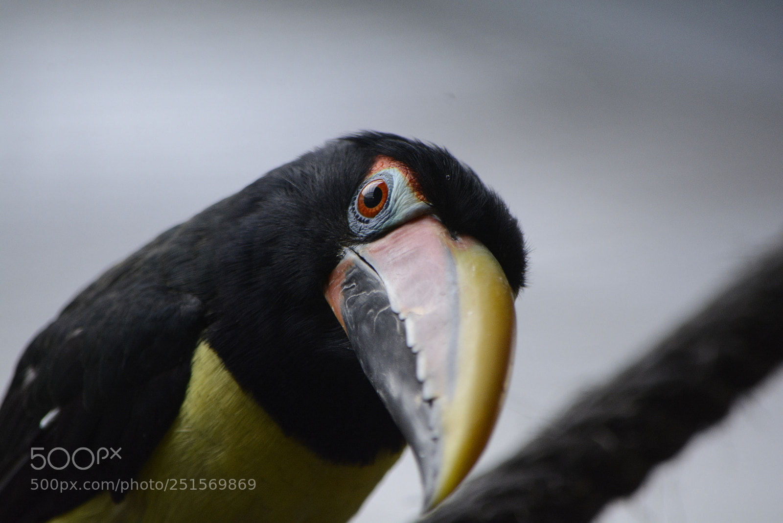 Nikon D7100 sample photo. I can see you... photography