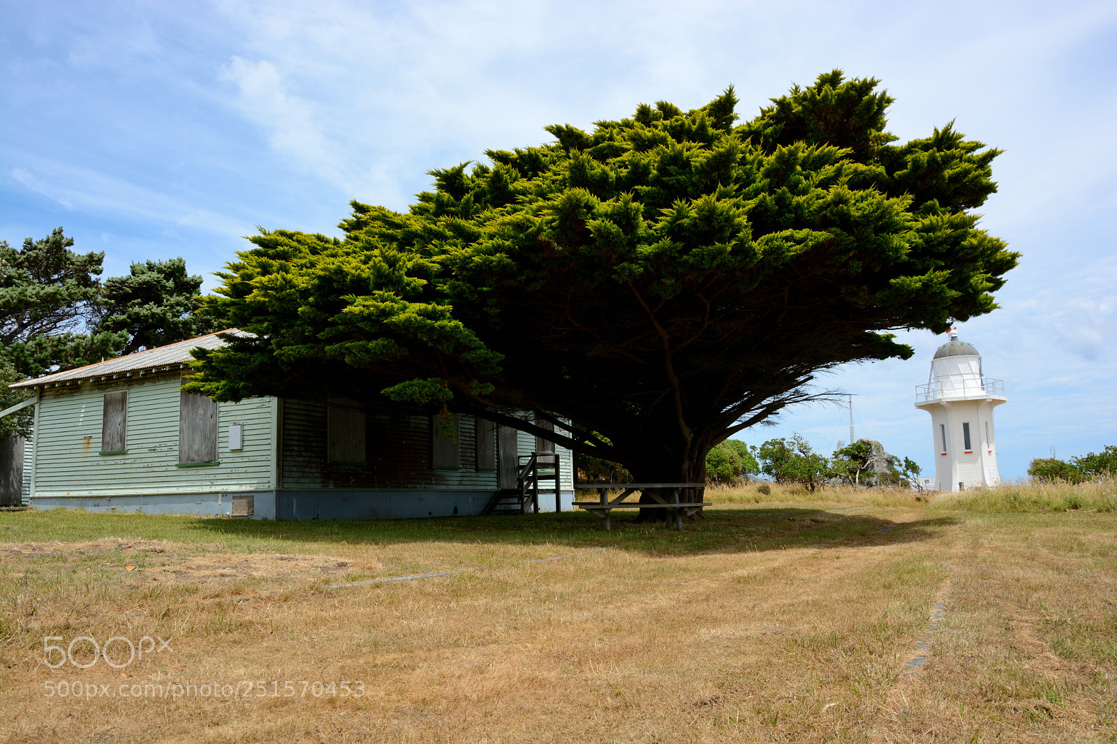 Nikon D5200 sample photo. Walking around photography