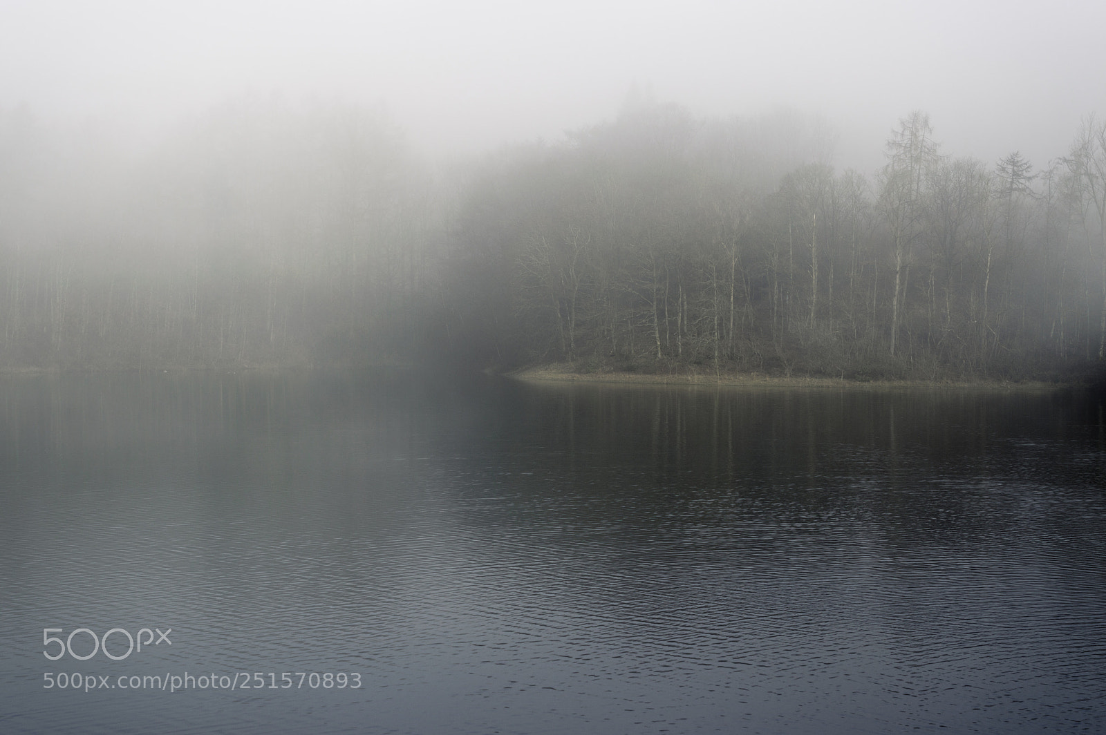 Nikon D3200 sample photo. Foggy landscape photography