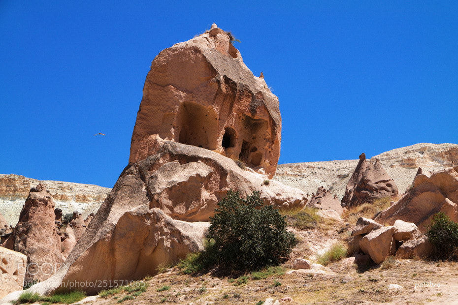 Samsung NX30 sample photo. ... photography