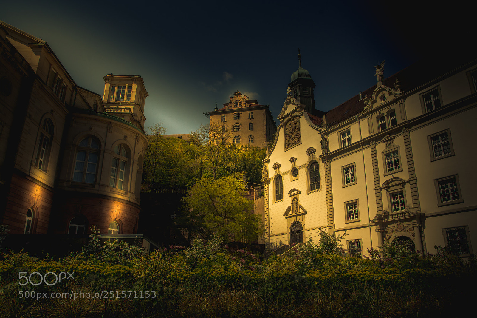 Nikon D7100 sample photo. Baden baden photography