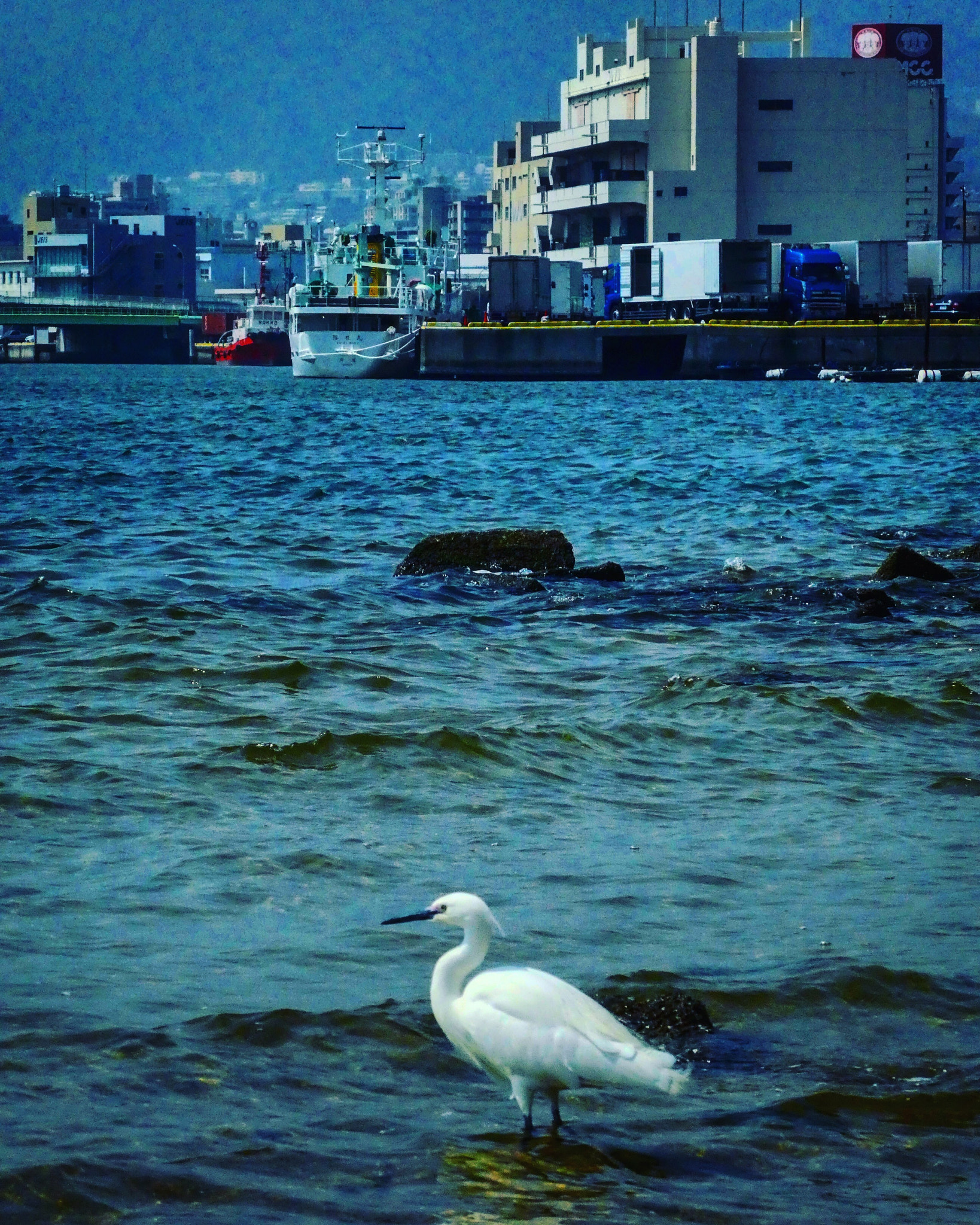 Panasonic DMC-TZ85 sample photo