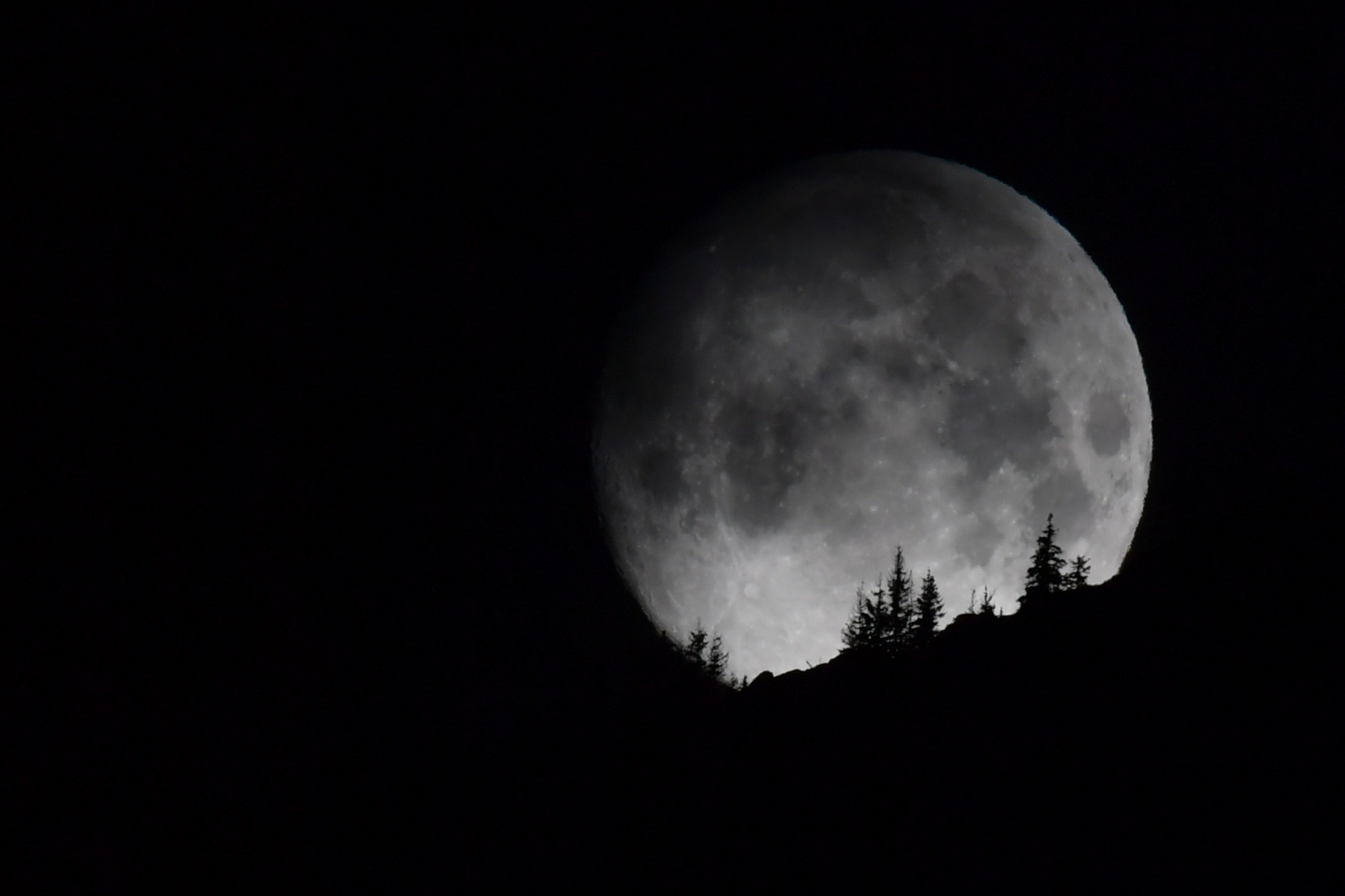 Sigma 150-600mm F5-6.3 DG OS HSM | S sample photo. Lune photography