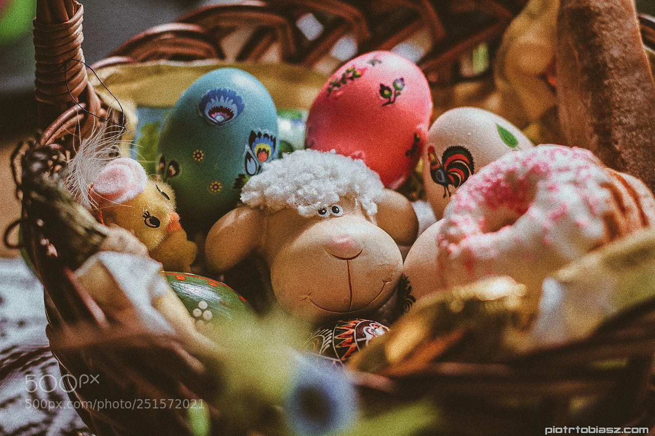 Canon EOS 7D sample photo. Happy easter. photography