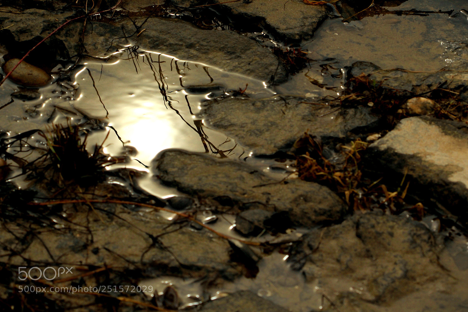 Canon EOS 60D sample photo. After rain photography
