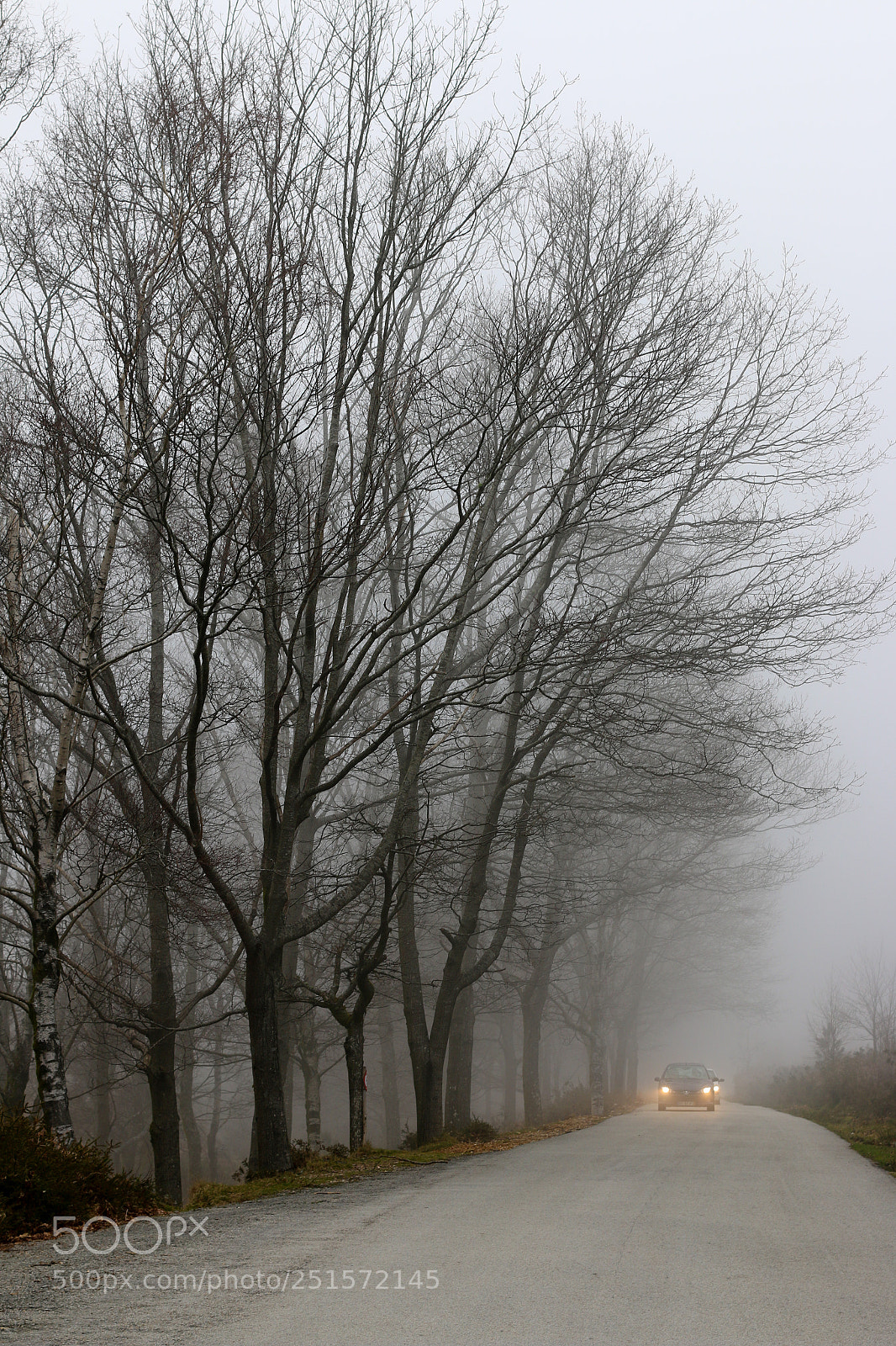 Canon EOS 70D sample photo. Nevoeiro photography
