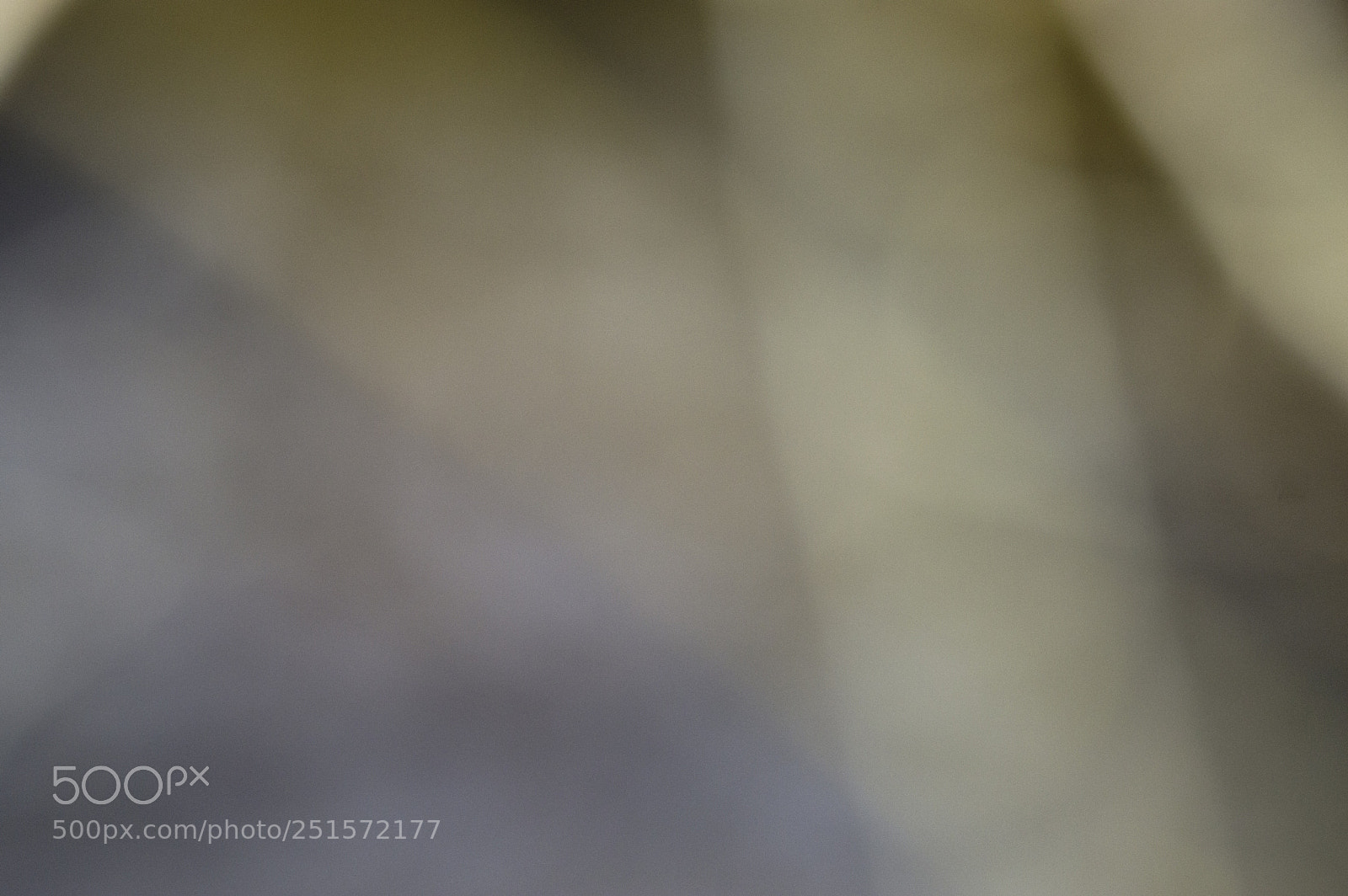 Nikon D3200 sample photo. Light photography