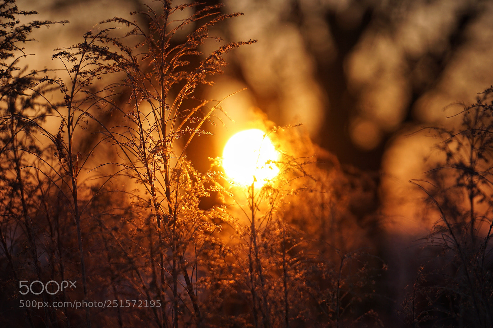 Sony a6000 sample photo. Morning. photography