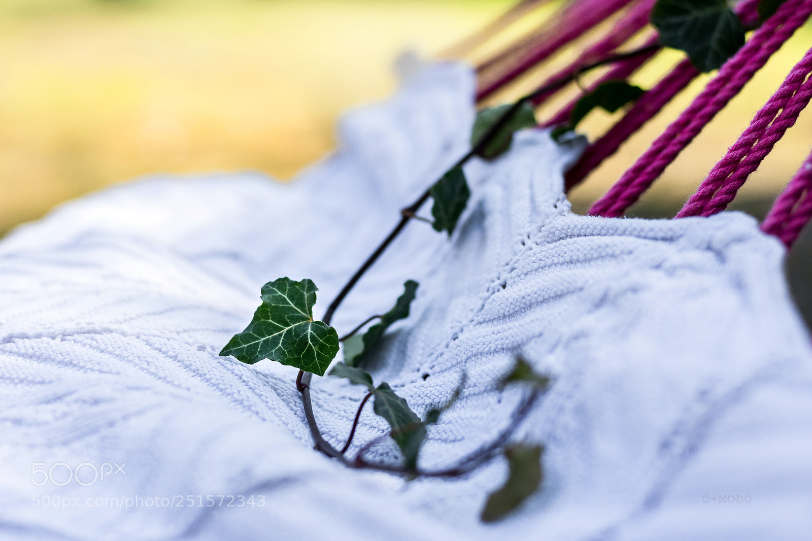 Nikon D7200 sample photo. La primavera a riposo photography