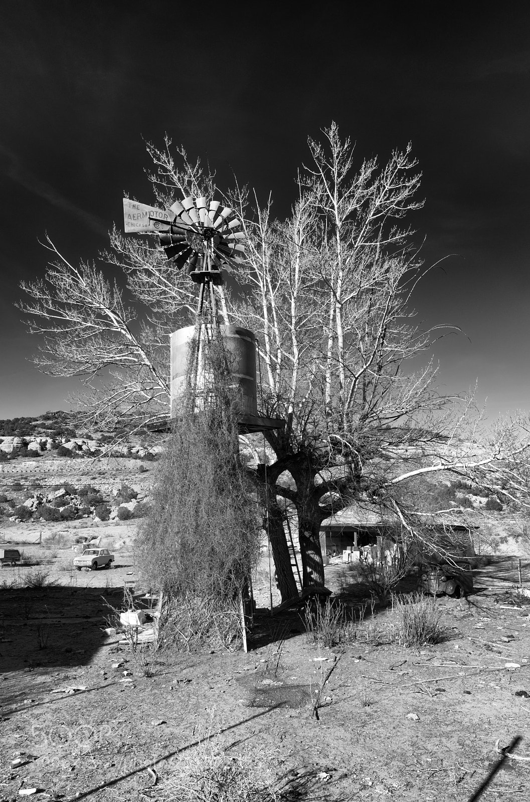 Canon EOS 5D Mark IV sample photo. Budville water tower photography