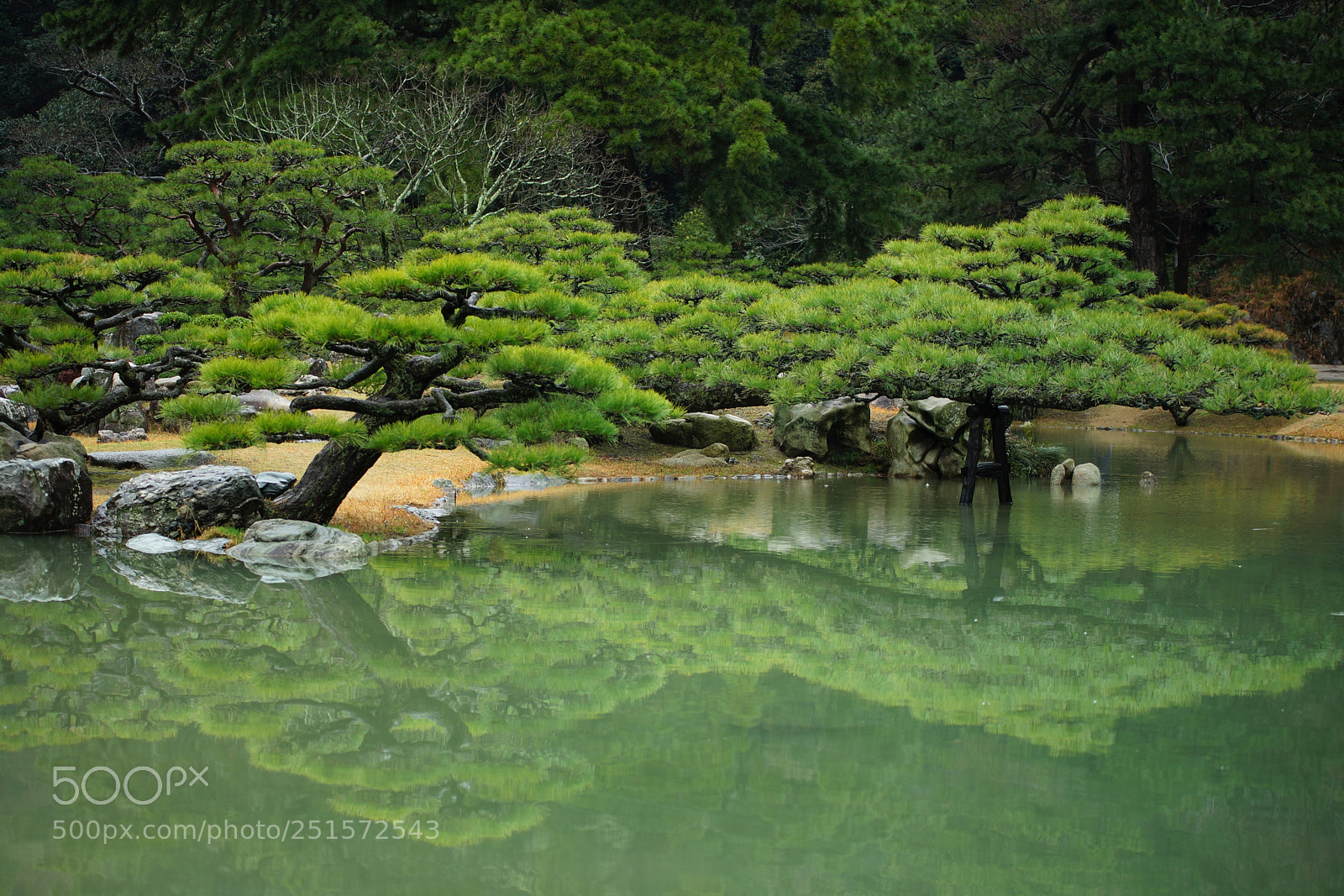 Sony SLT-A99V sample photo. Japanese garden photography