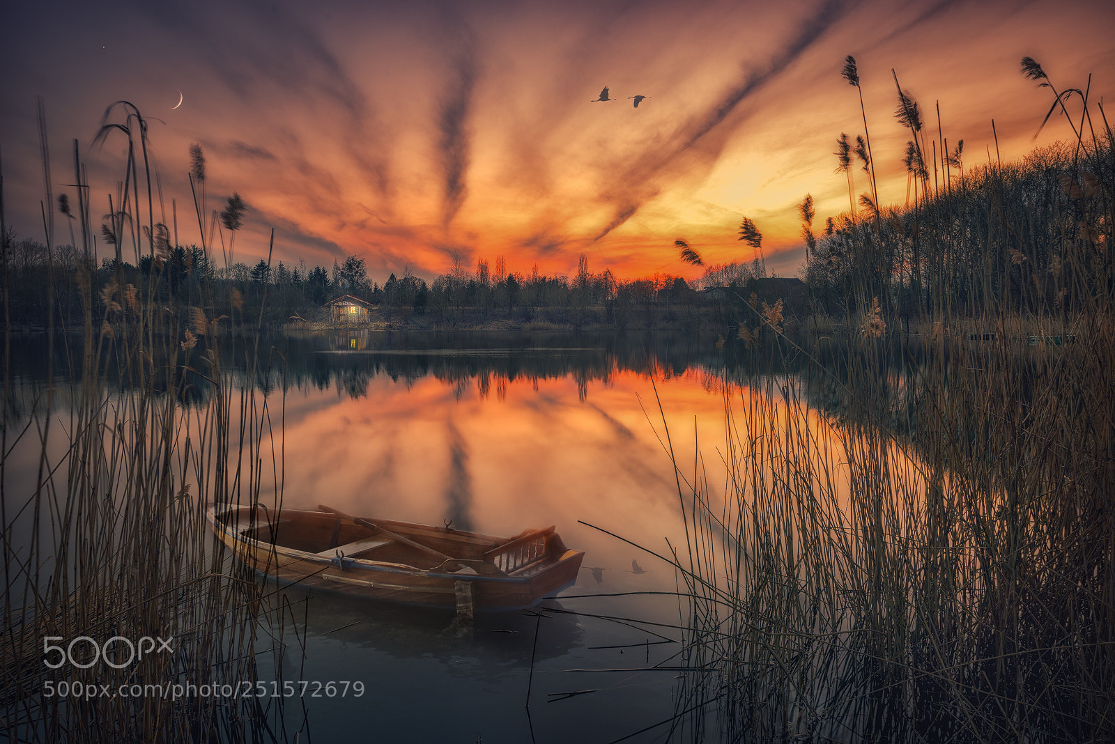 Nikon D810 sample photo. Seefrieden photography