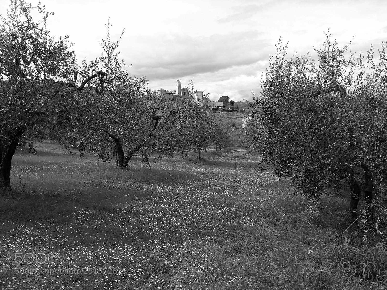 Samsung Galaxy Note2 sample photo. Panorami toscani photography