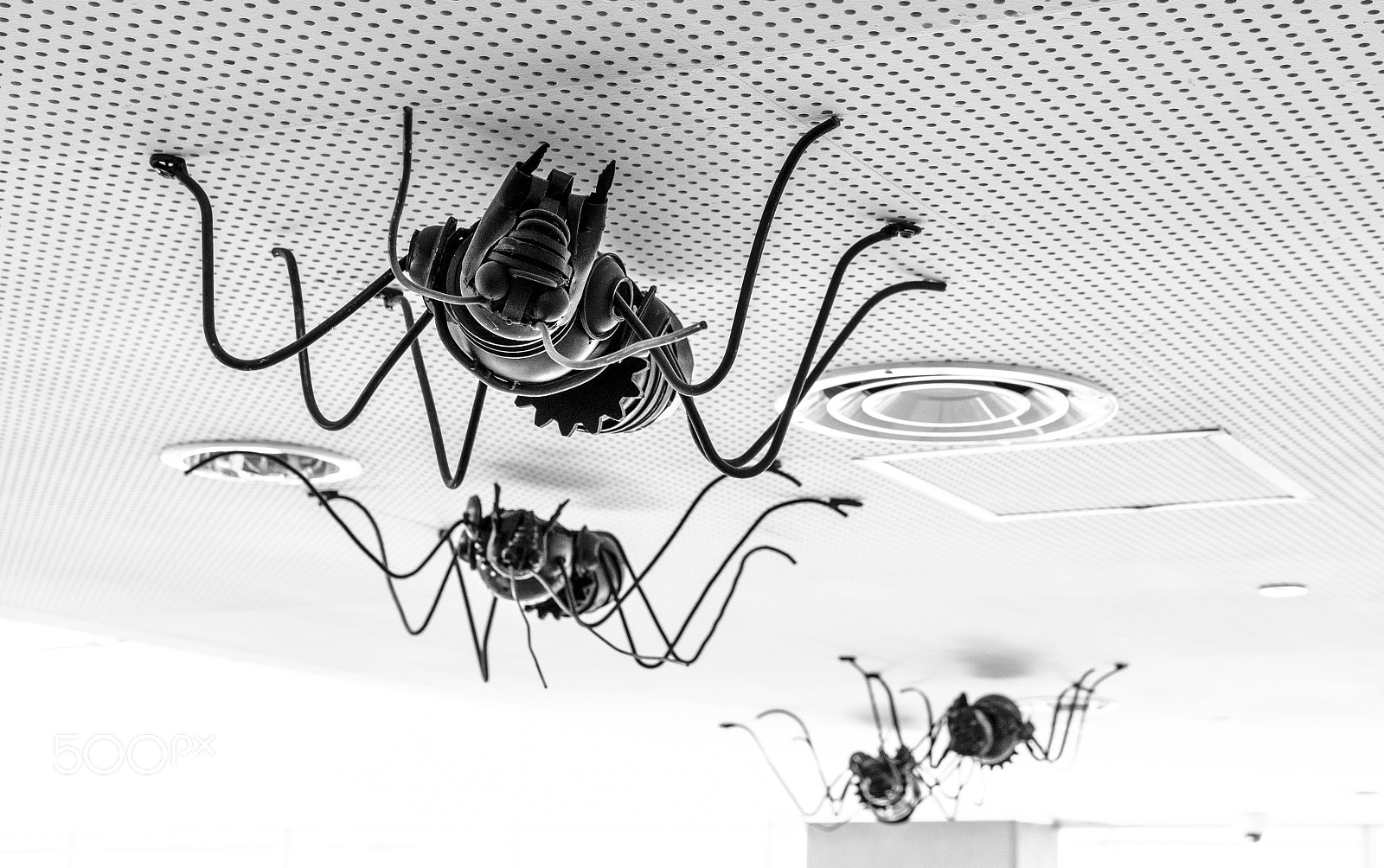 Fujifilm X-T2 sample photo. Ant attack photography