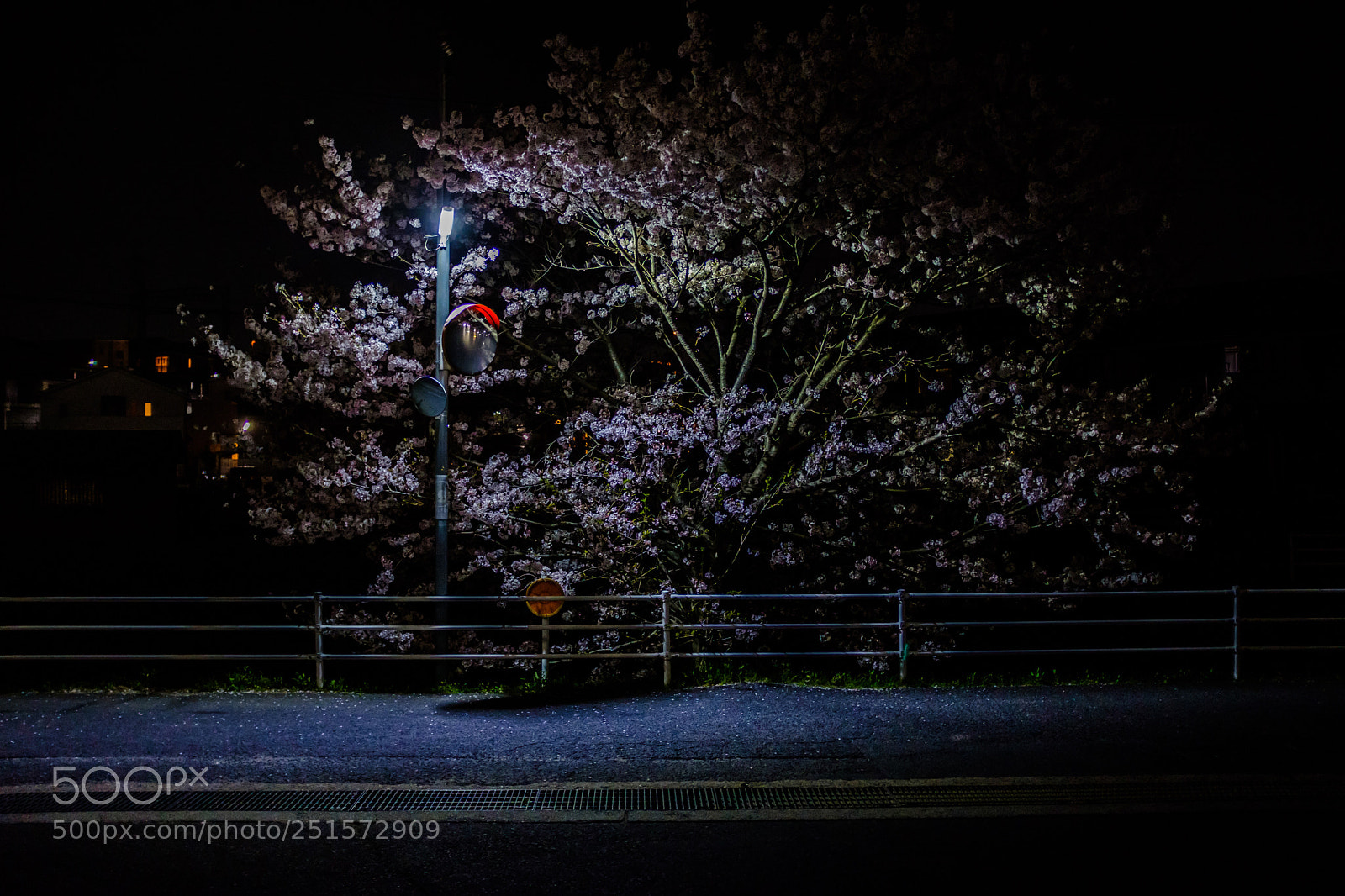 Fujifilm X100F sample photo. Cherry blossoms at night photography